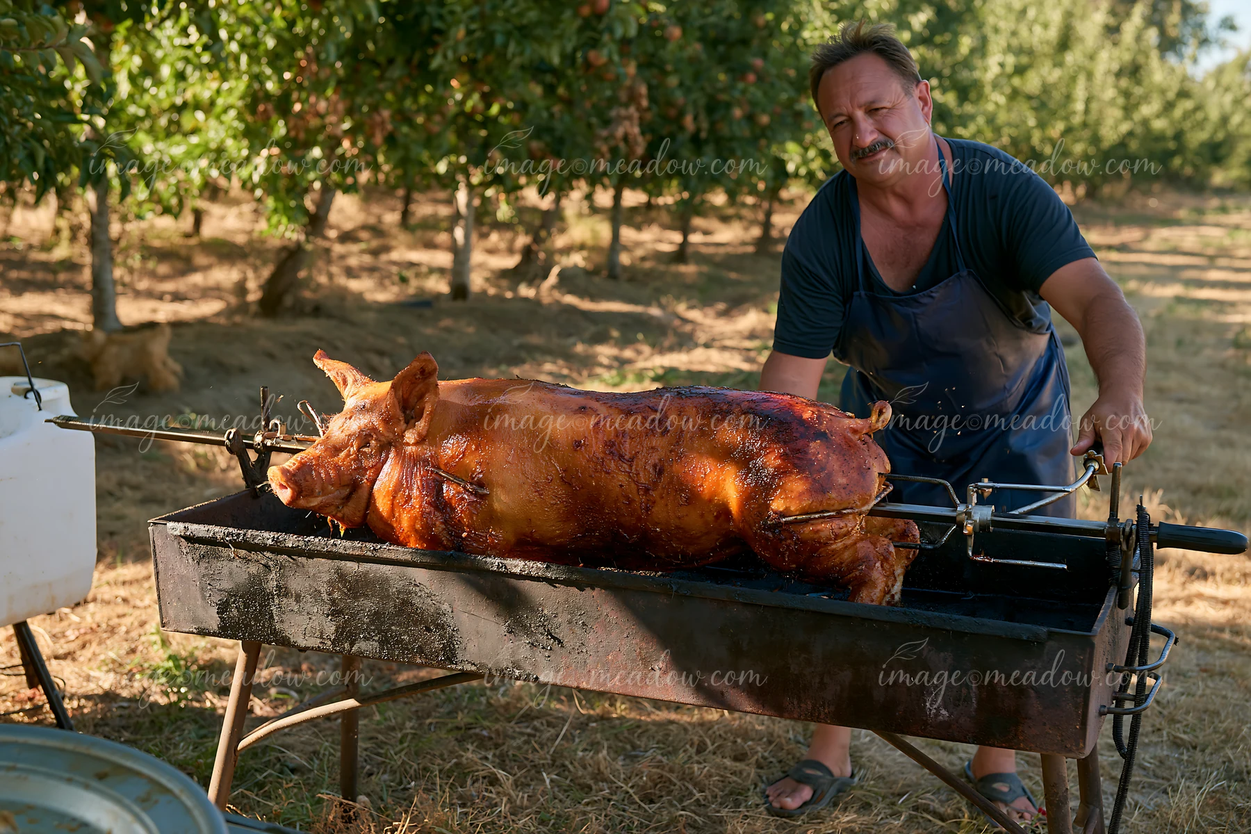 A man stands beside a freshly roasted pig on outdoor grill in an orchard.
