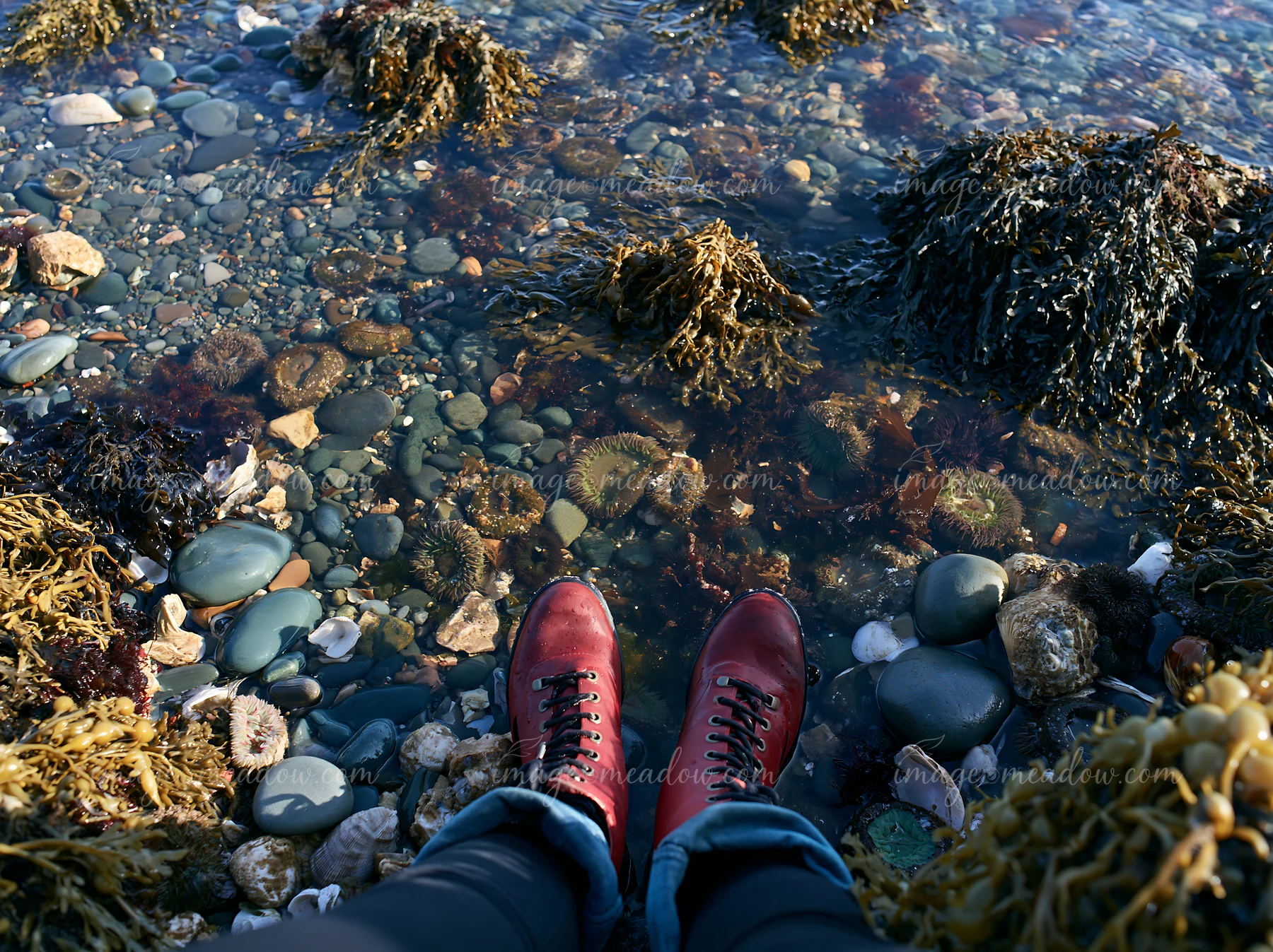 A pair of red boots stand on a pebbly coastline beach surrounded by seaweed and various stones.