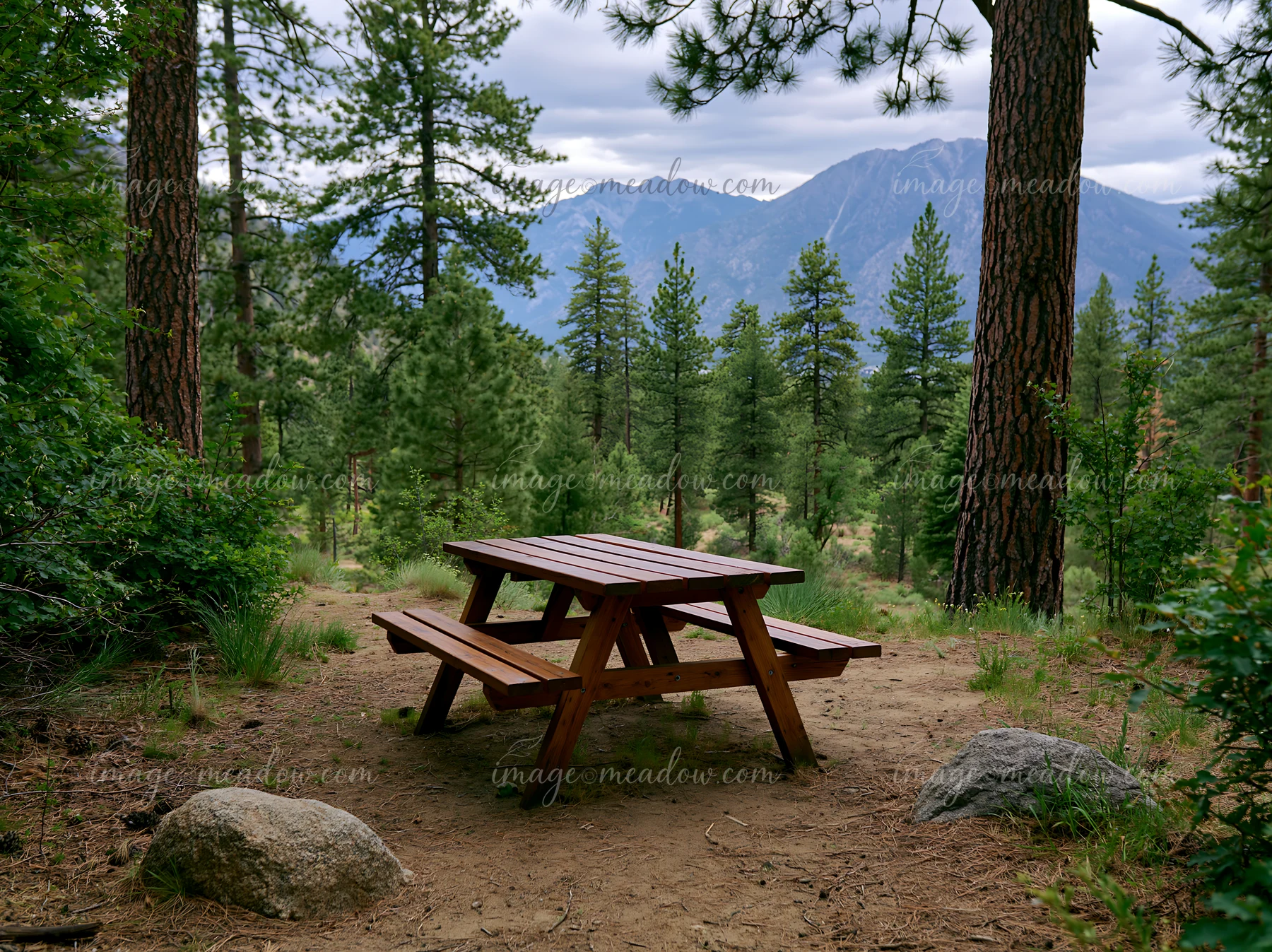 A picnic table sits in a wooded area of a pine forest, offering a view of a distant mountain range.