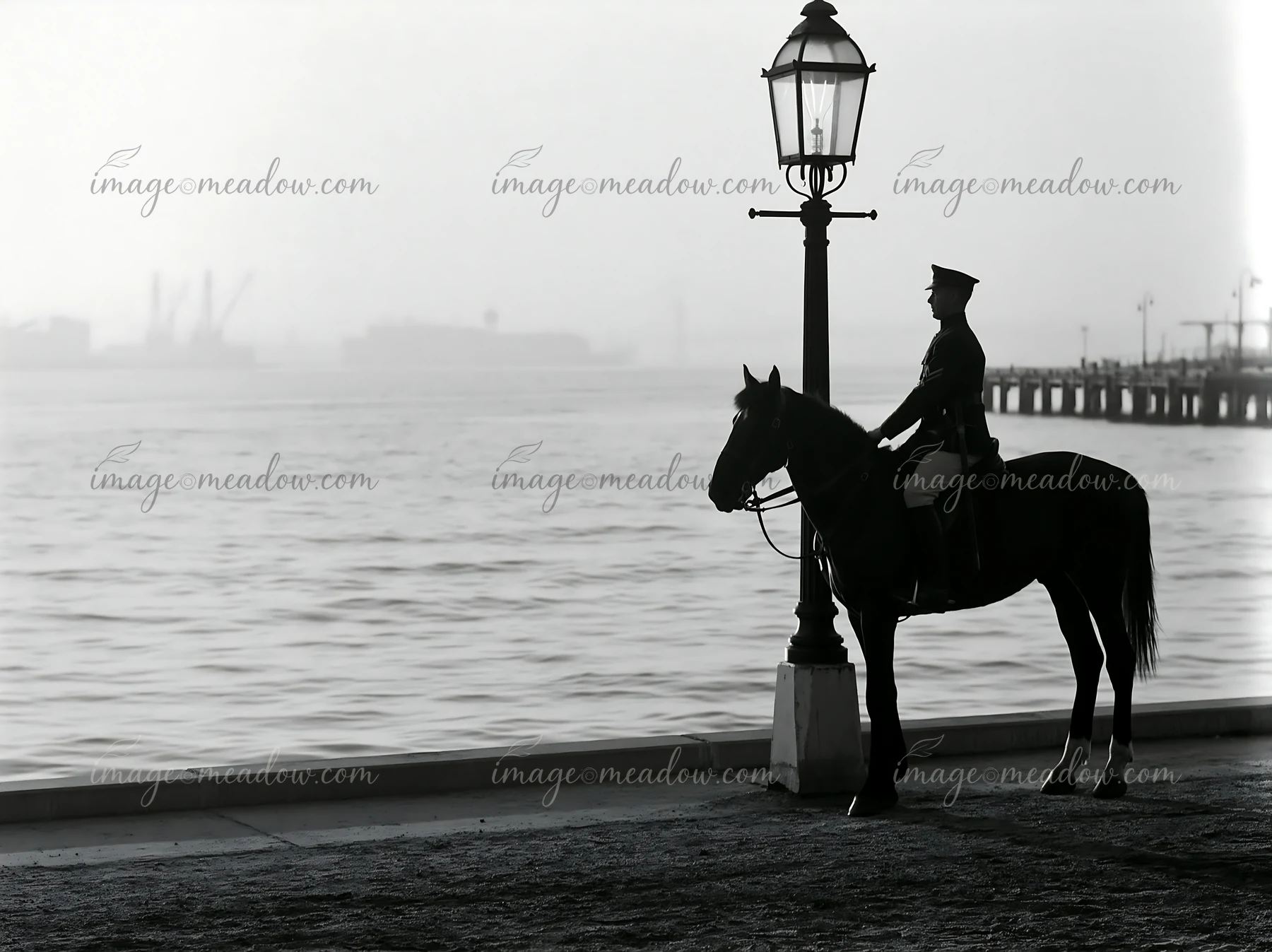A police officer on horseback stands by a lamppost near the water.