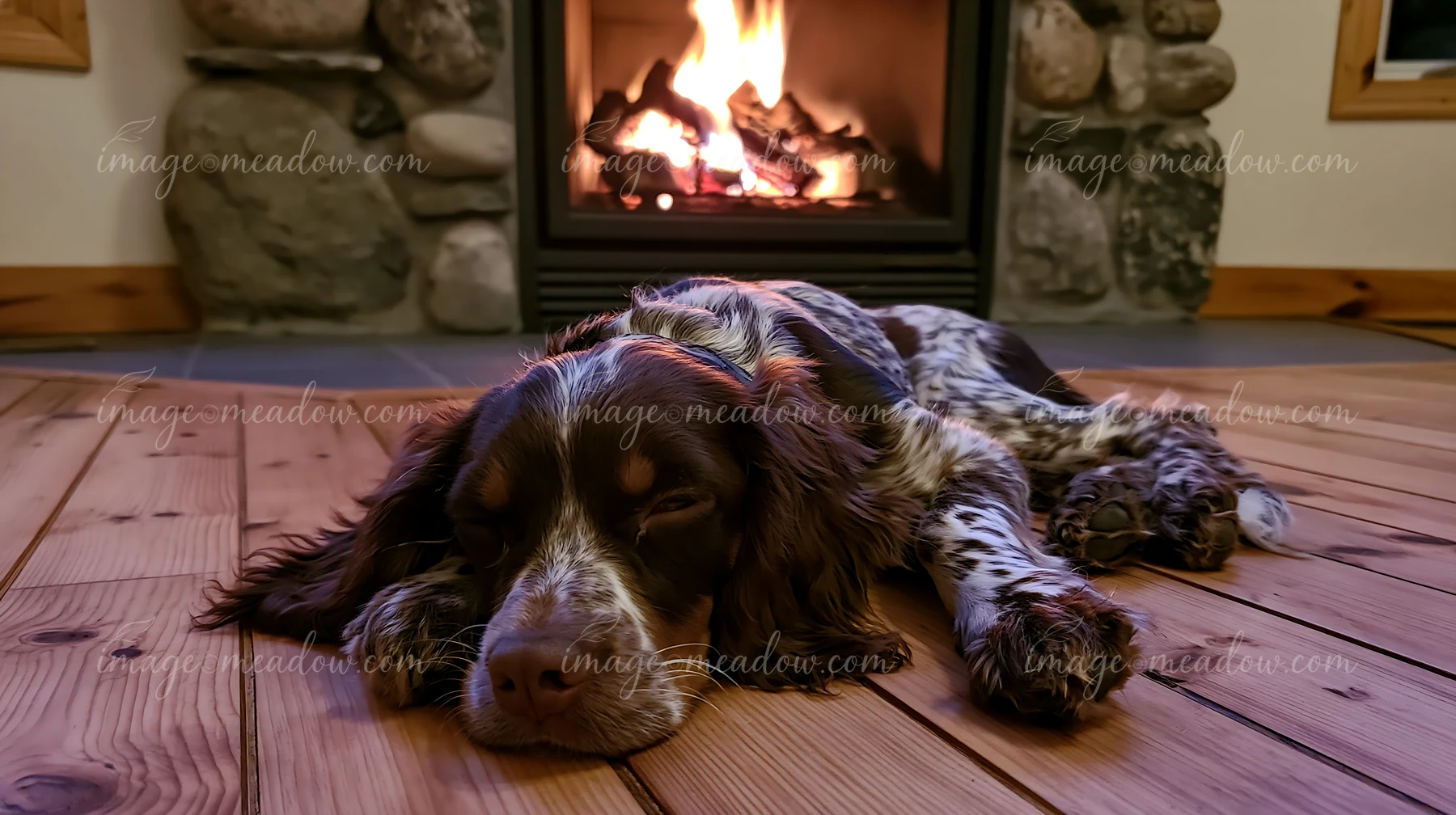 A rare dog breed is relaxing by a warm fireplace in a cozy room.