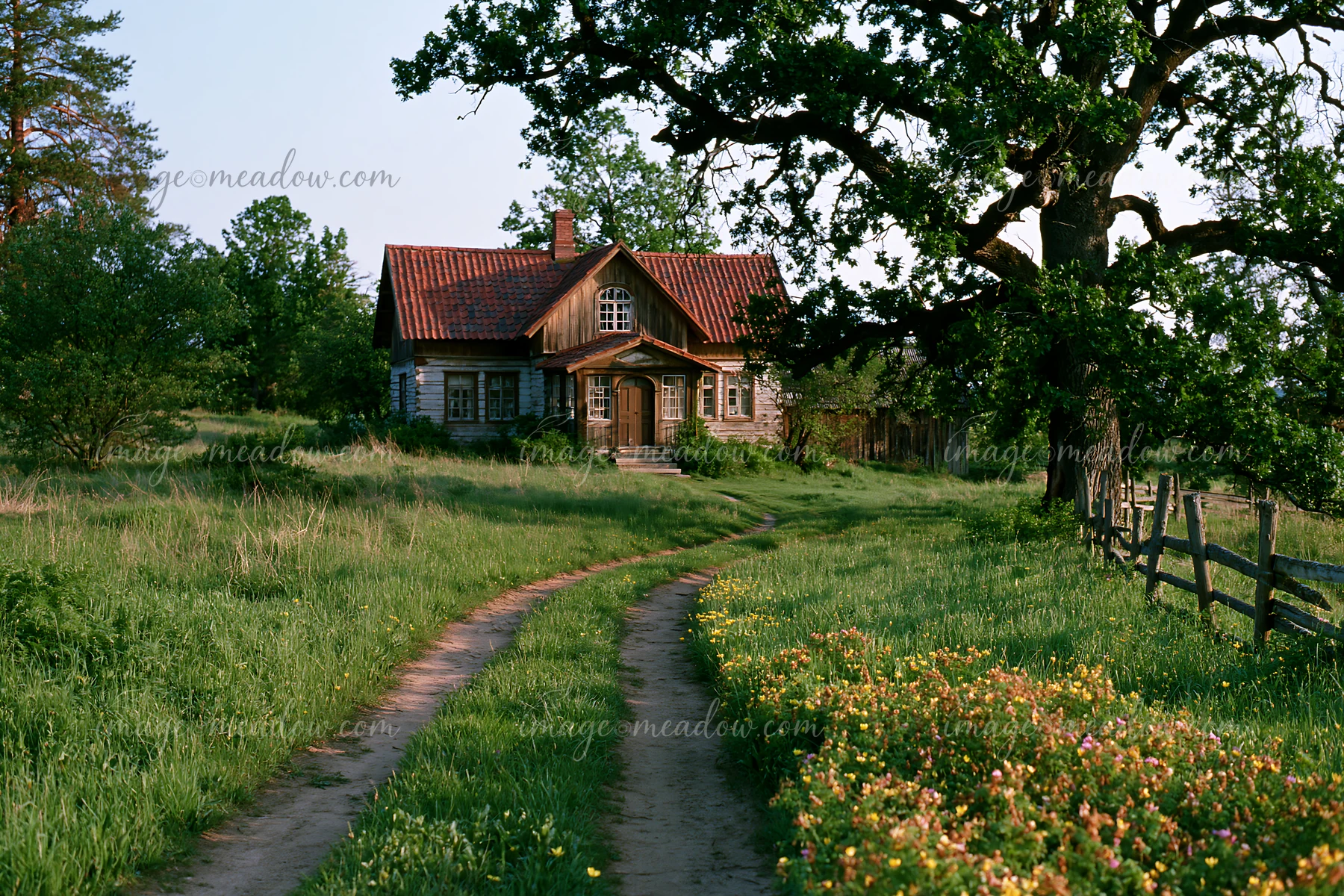 A rural home under oak trees sits at the edge of a grassy field.
