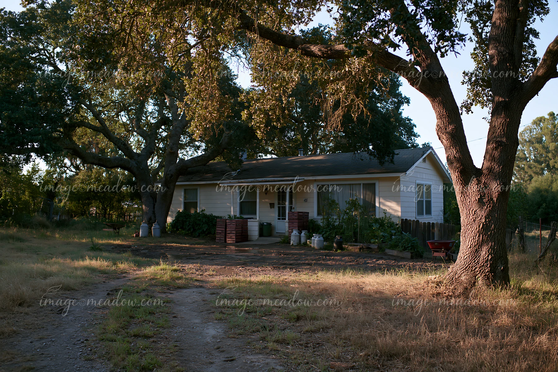 A rural home under oak trees sits beside a dirt road with containers around the porch.