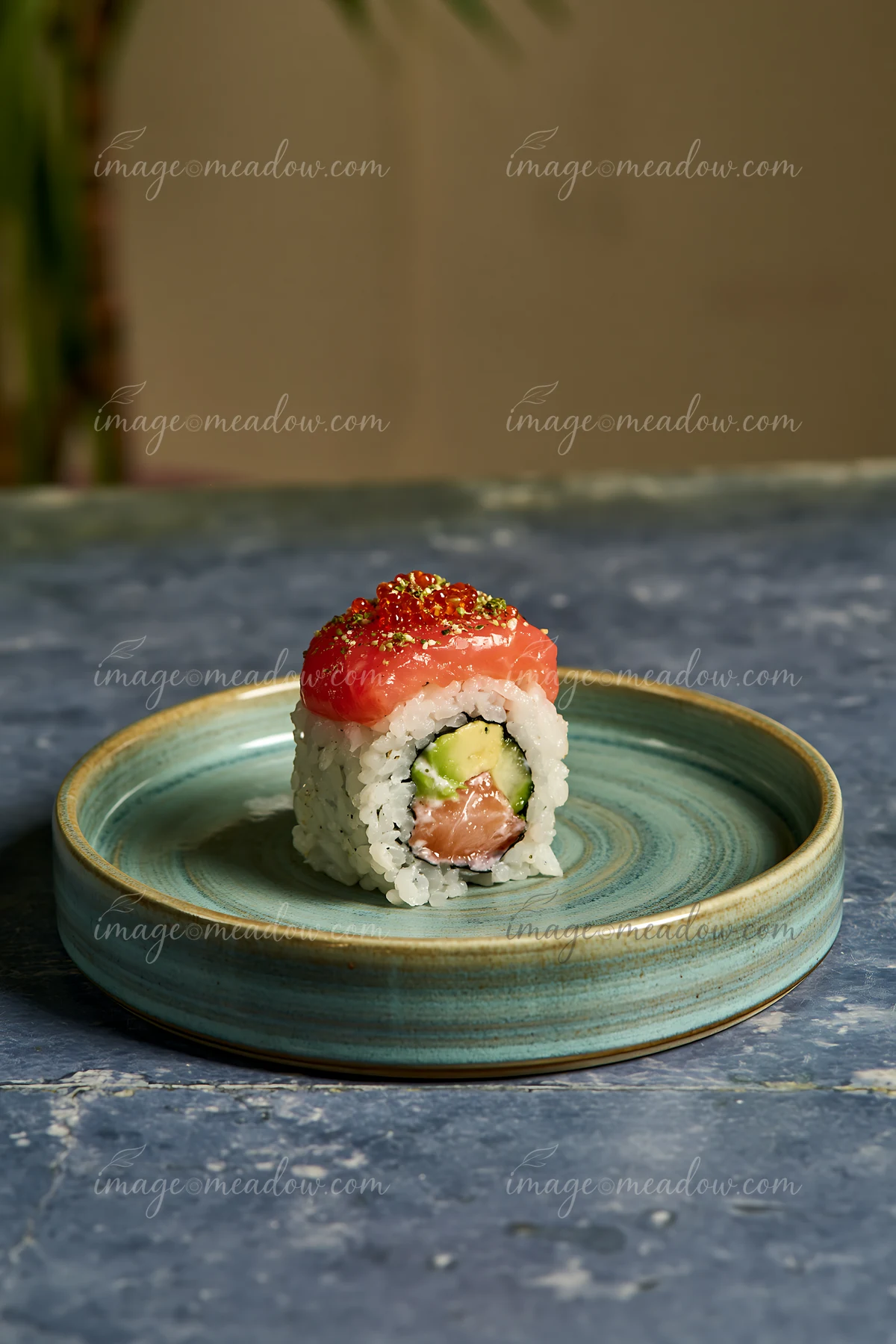 A single sushi roll on ceramic plate features a filling of cucumber and salmon.