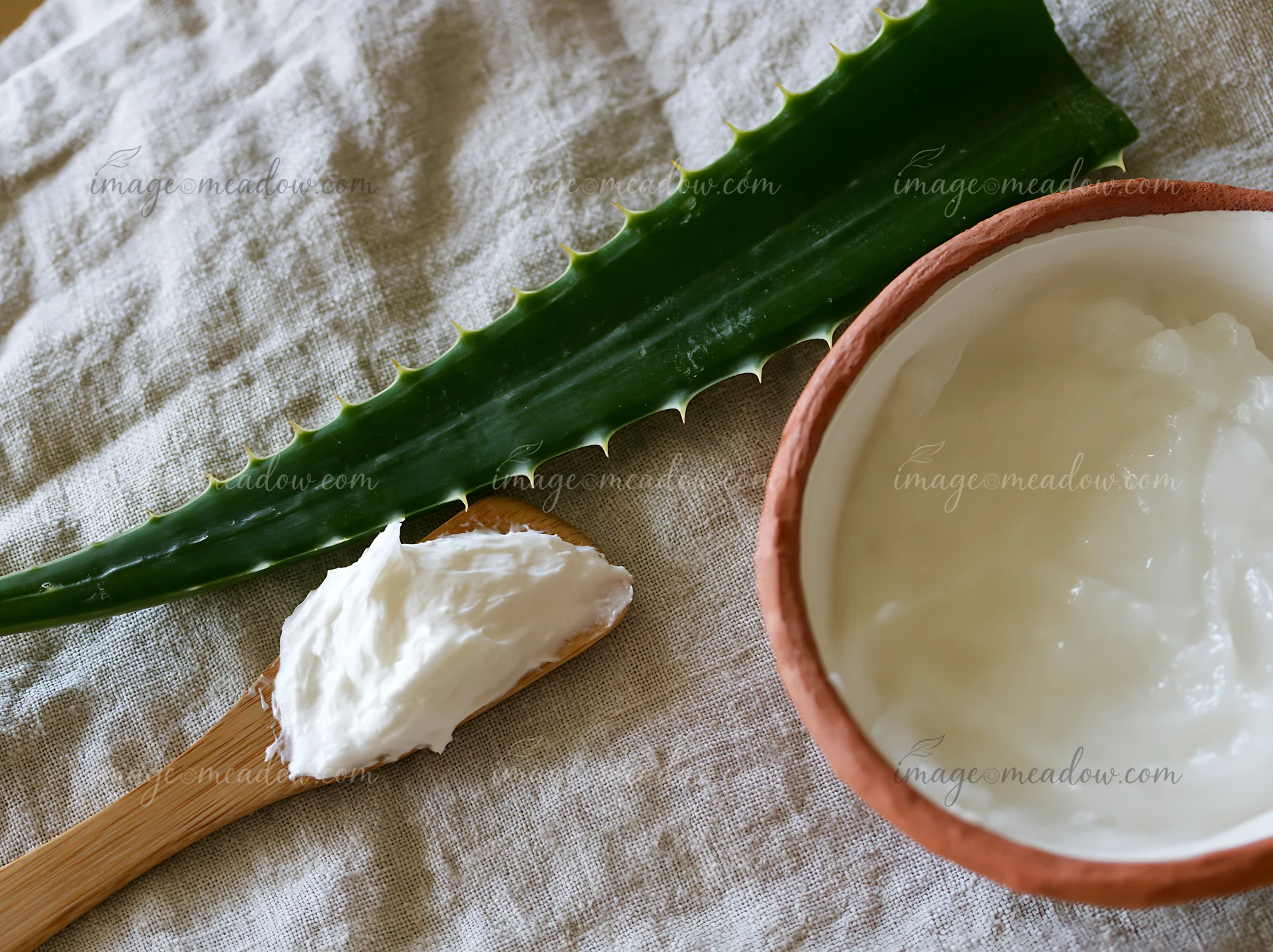 A small bowl of cream sits next to an aloe vera leaf on a light fabric.
