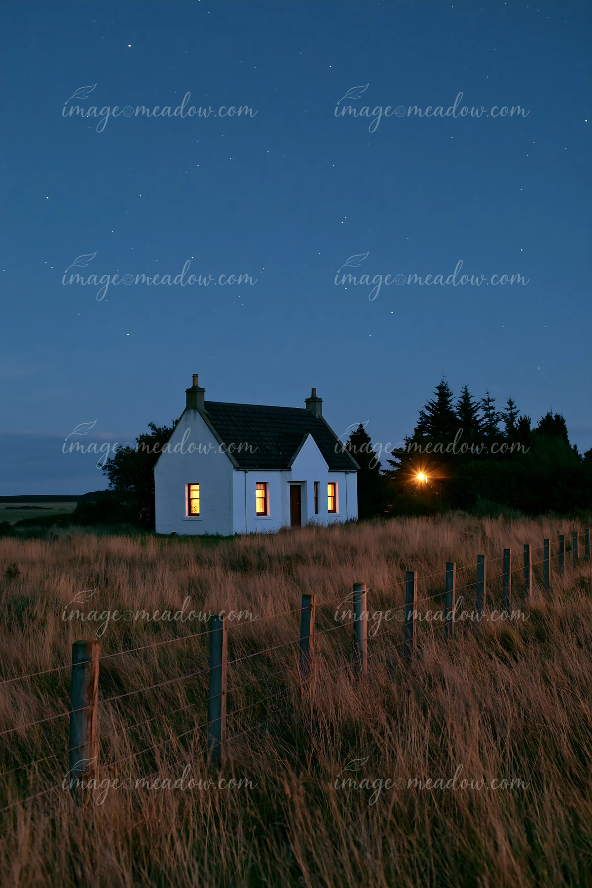 A small house in a meadow stands under a starry night sky, with warm light glowing from the windows.