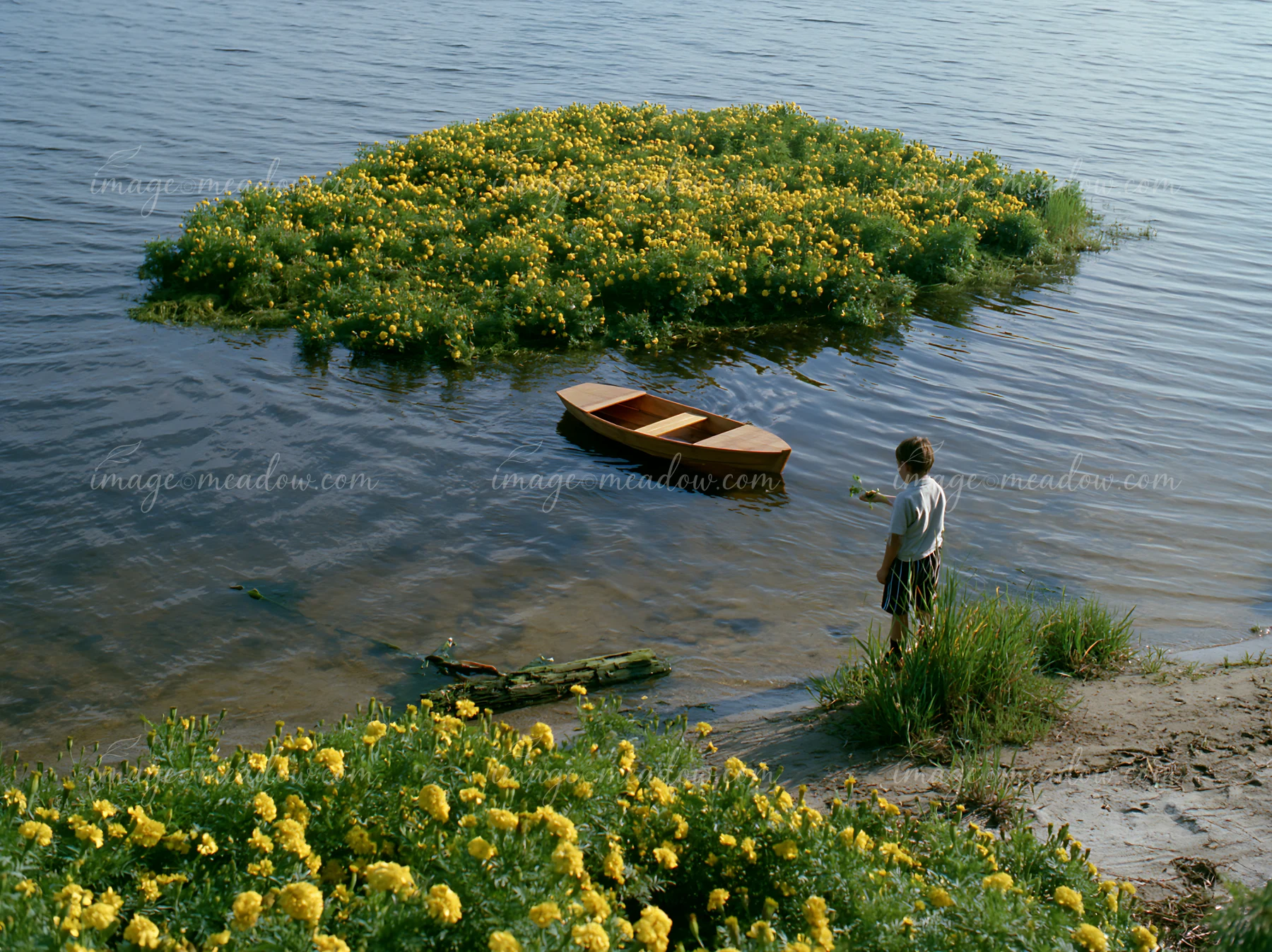 A small island covered with marigolds floats on the water, while a person stands on the shore beside a wooden boat.