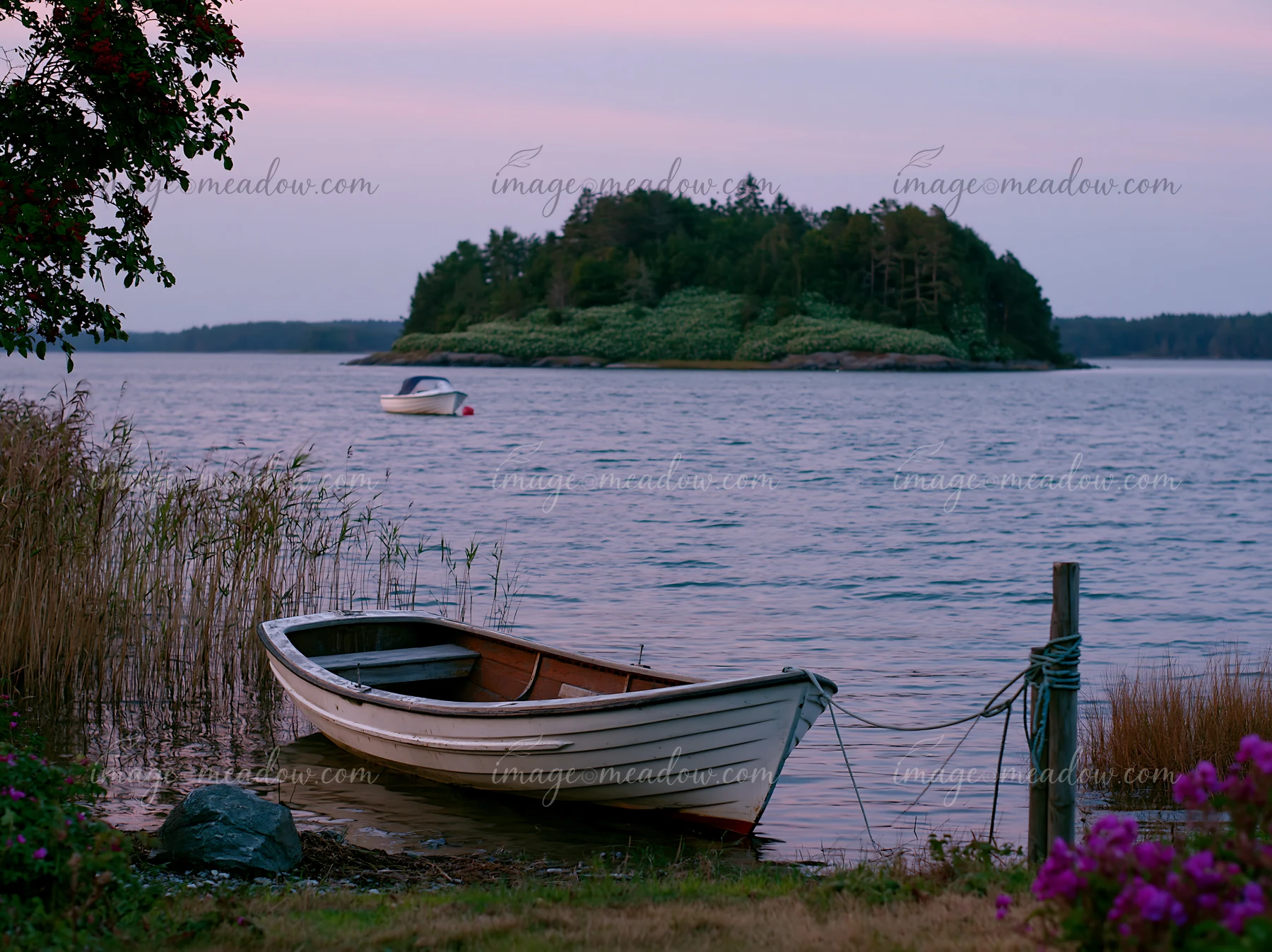 A small island covered with sweet peas is visible in the background, while a boat is anchored by the shore.