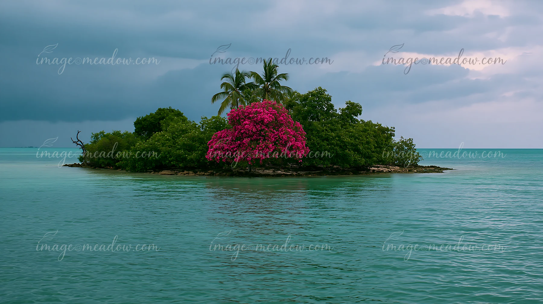 A small island features lush greenery and vibrant pink flowers against a cloudy sky.