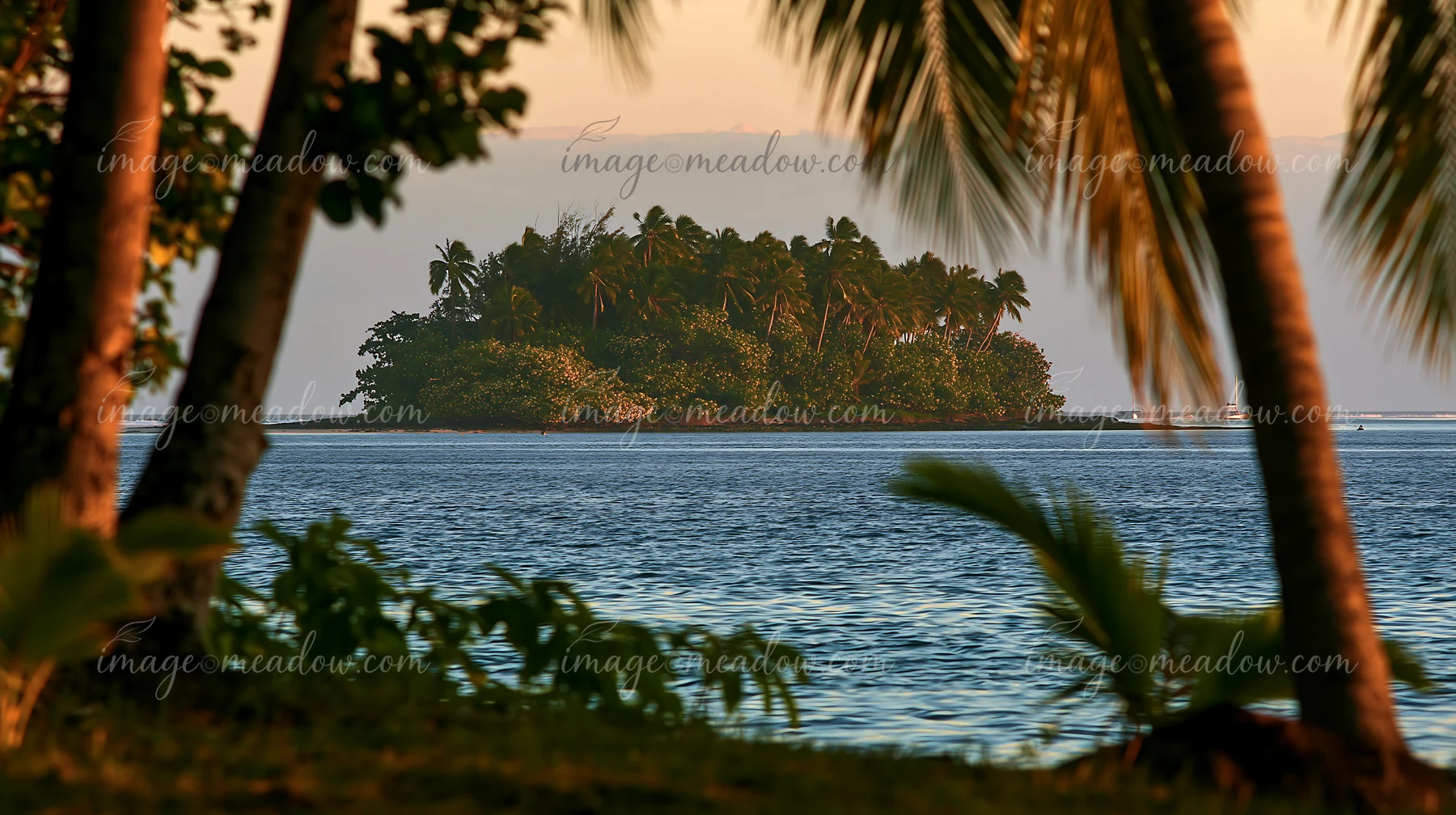 A small island with green plants and flowers is visible in a tropical lagoon as the sun sets.