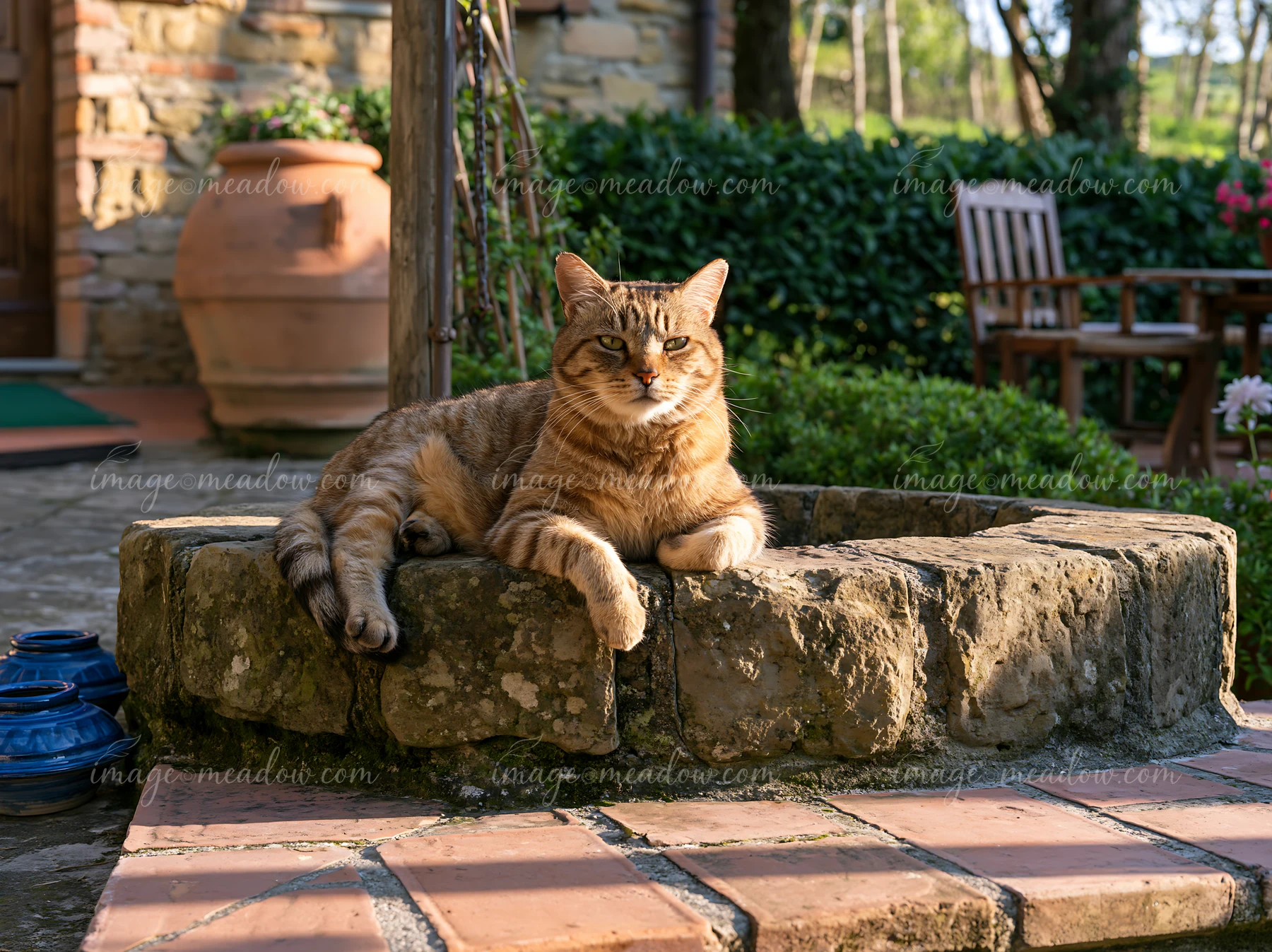 A tabby cat rests comfortably on a stone well in a farmhouse courtyard surrounded by lush greenery and wooden furniture on a sunny day.