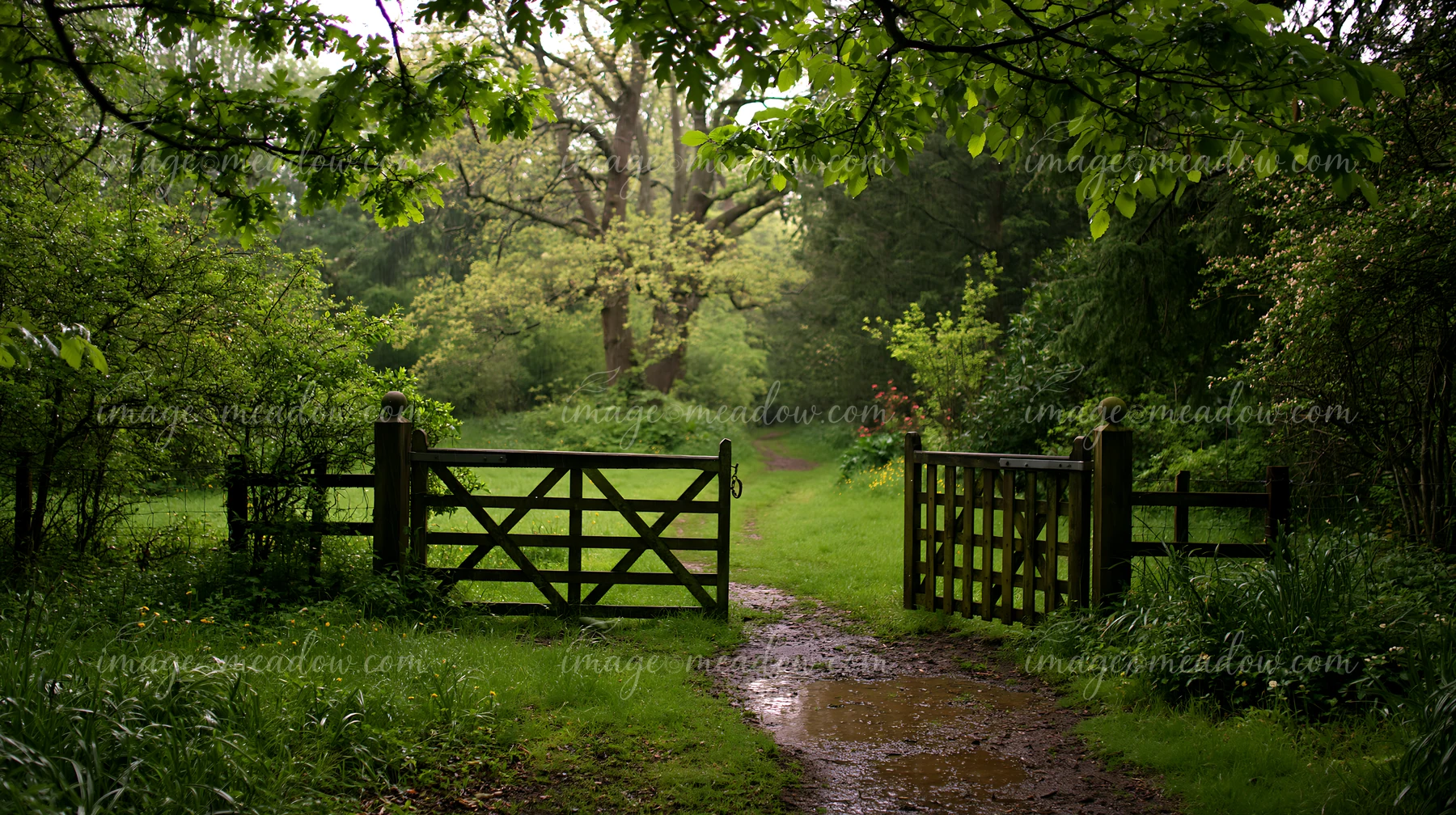 A wet pathway leads through an open gate surrounded by lush greenery and trees on a rainy day view from a timber cottage.