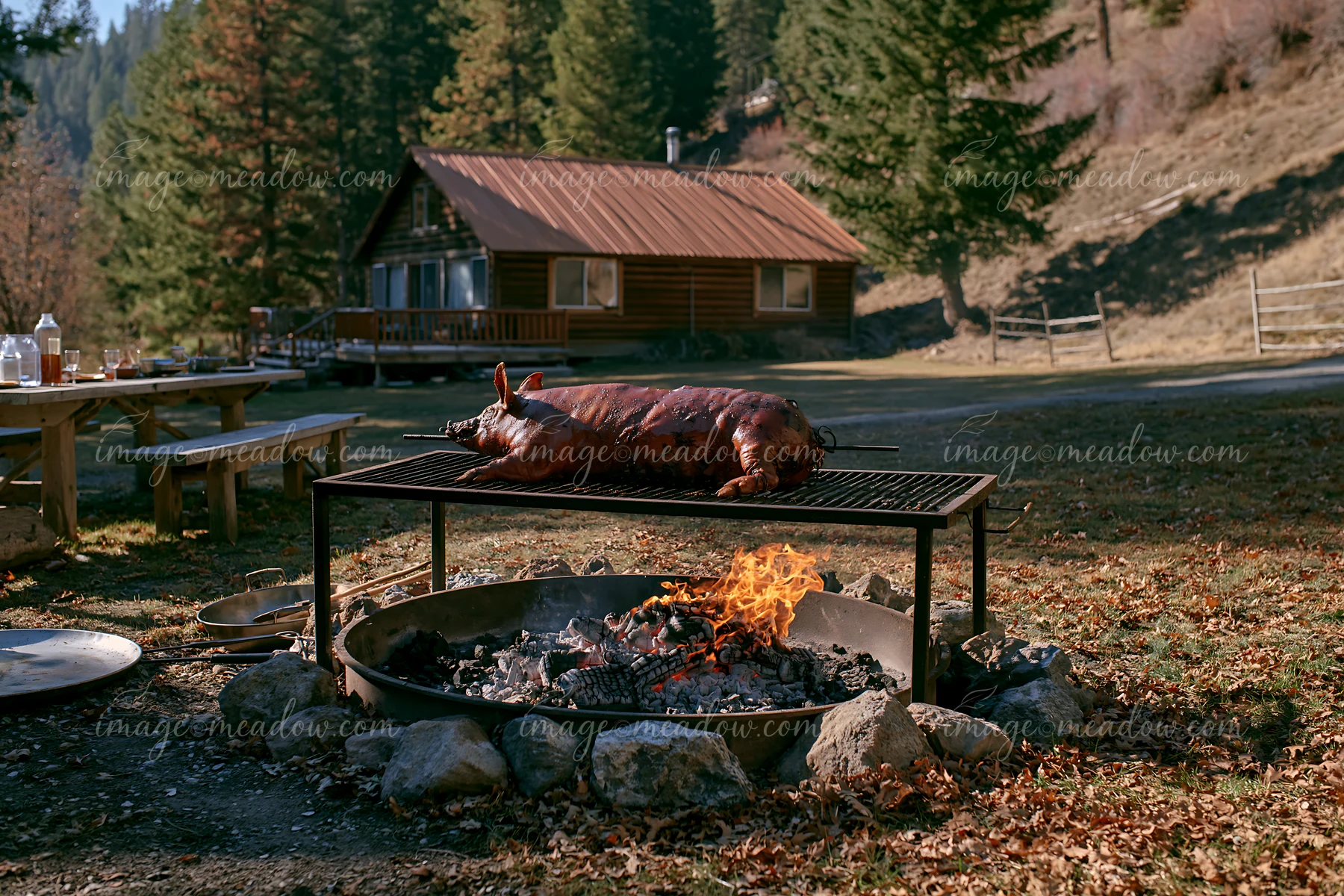 A whole pig is roasting over glowing charcoal embers in a forest.