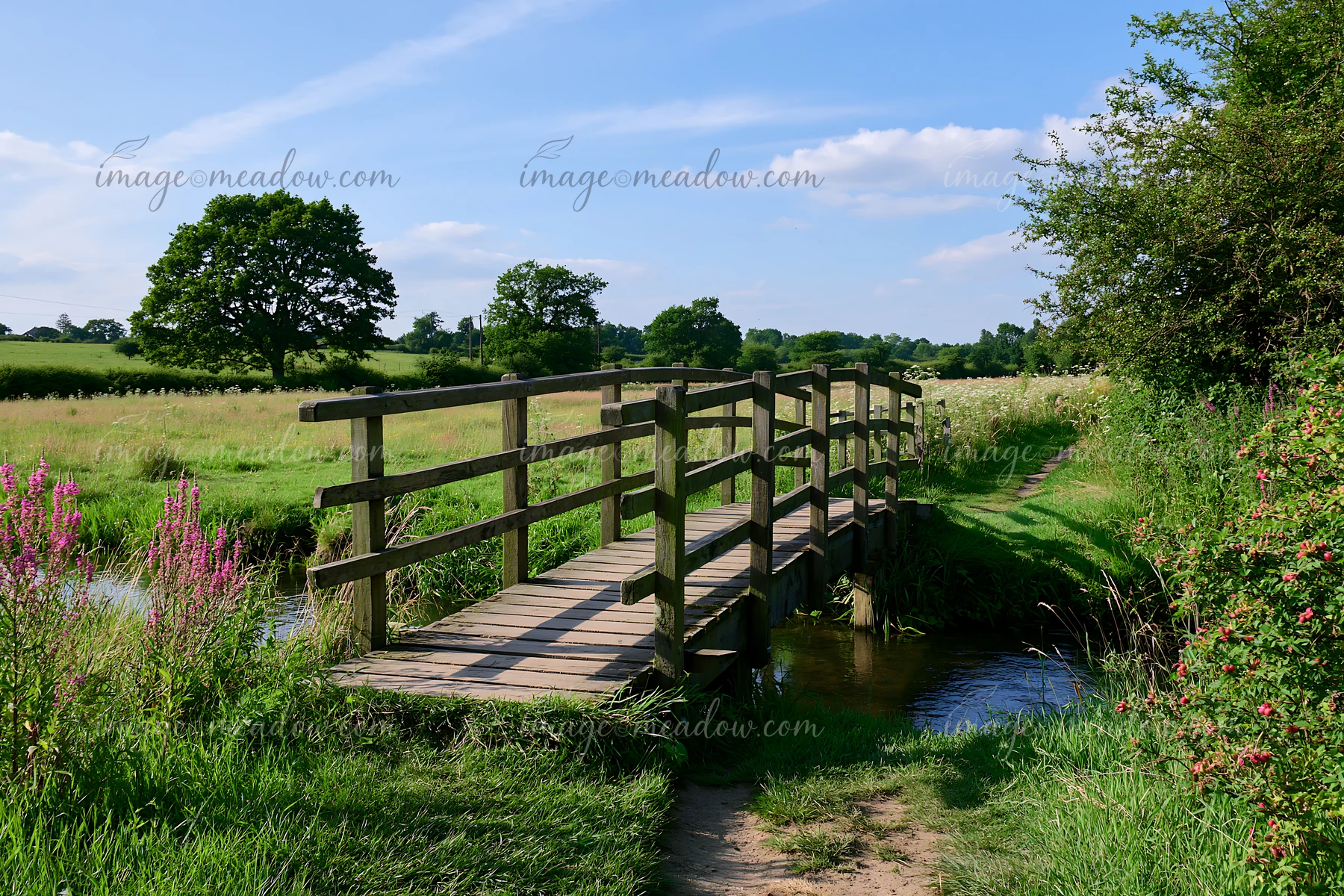 A wooden bridge crosses a small stream along a footpath through a wildflower meadow.
