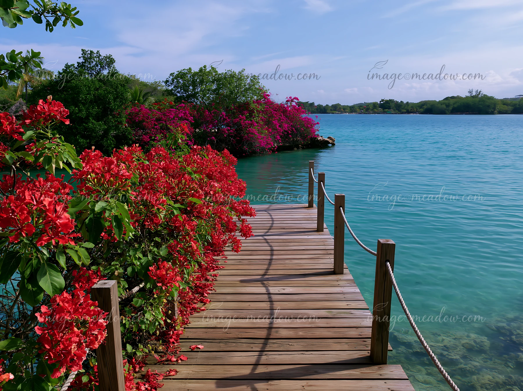 A wooden pathway leads through vibrant flowers toward a clear tropical lagoon.