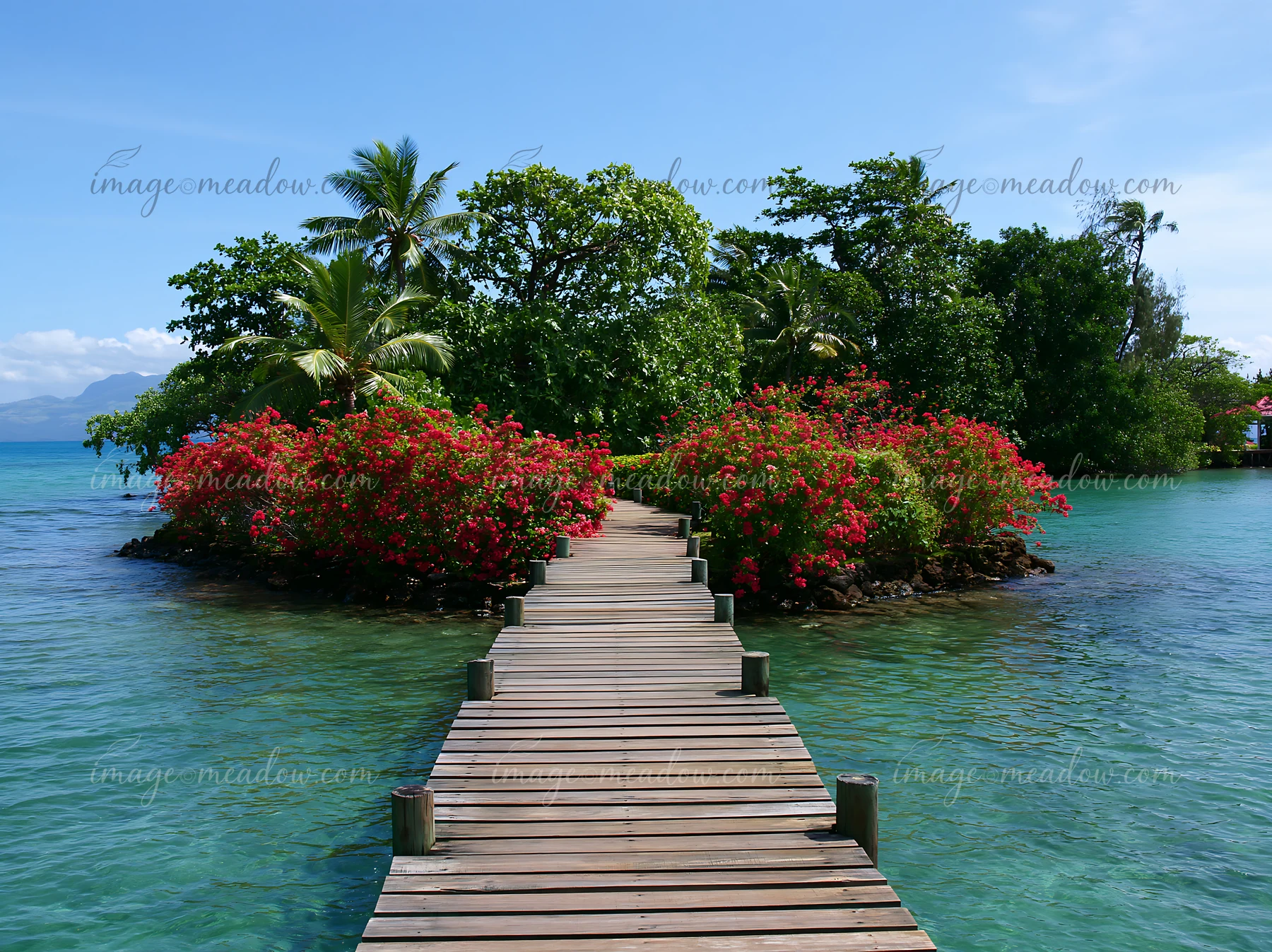 A wooden walkway leads to an island with flowers in a tropical lagoon.
