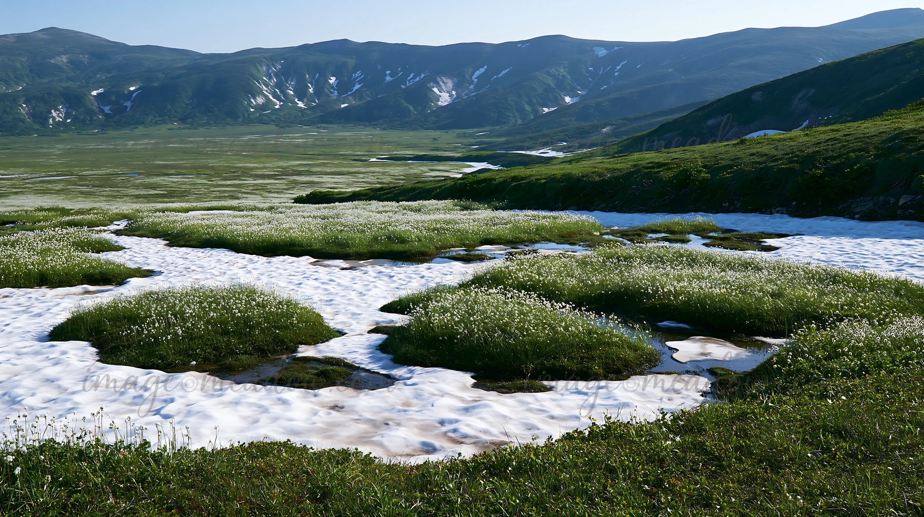 In Akita, a snowmelt meadow shows patches of melting snow surrounded by silver grasses. The area is open, with mountains in the background under a clear blue sk