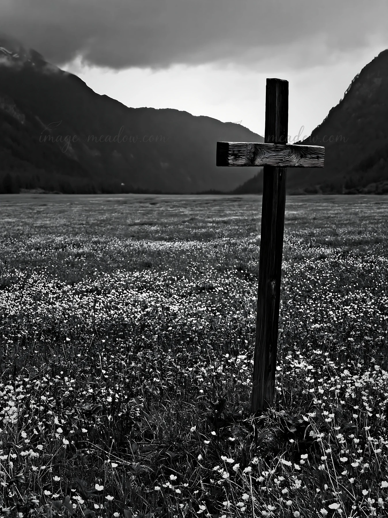 A wooden cross stands alone in a meadow filled with white flowers. The background features mountains under a cloudy sky. This scene captures a moment of signifi