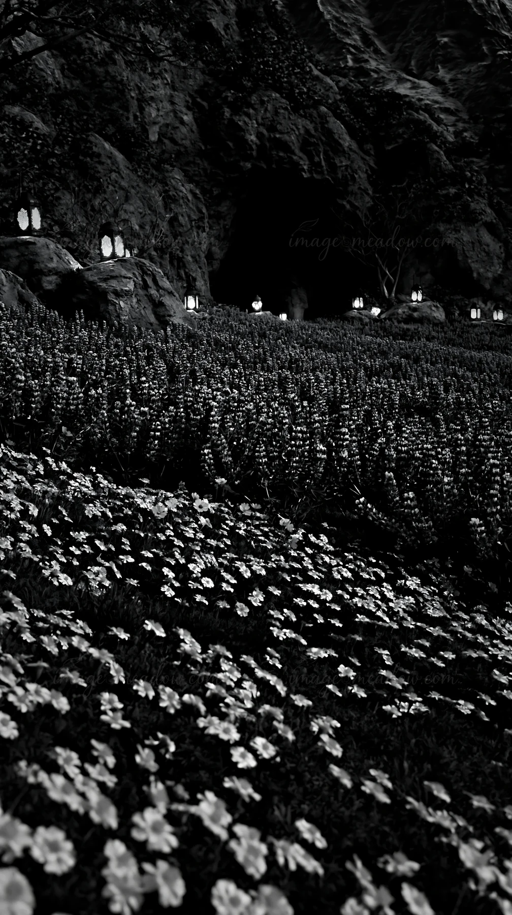 Lanterns light up a meadow filled with flowers as night falls by a cave. The scene captures a peaceful moment with the glow of the lanterns creating a warm atmo