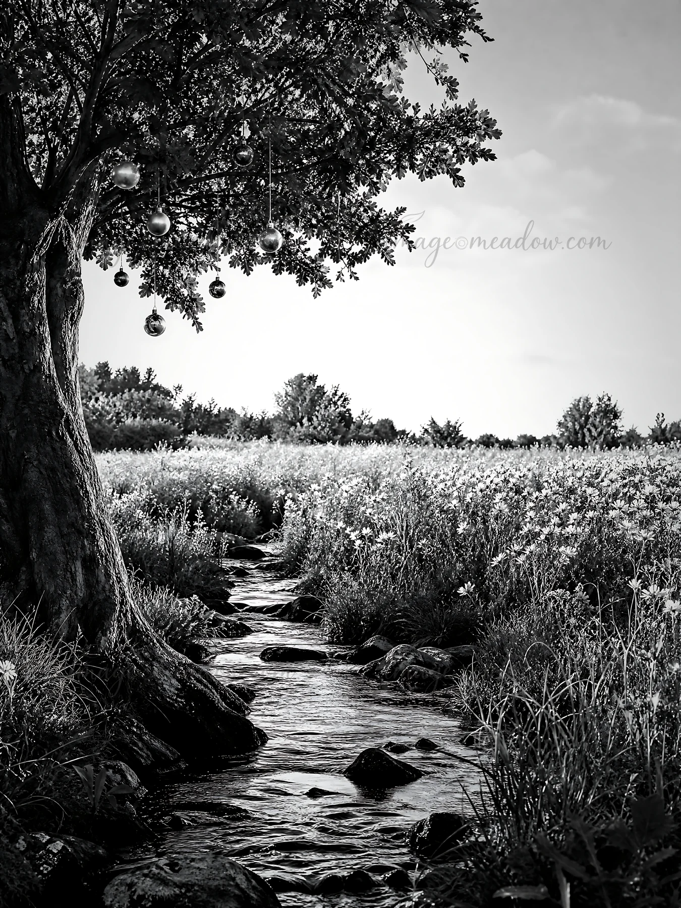 Christmas ornaments dangle from a tree above a flowing stream in a meadow. The landscape shows tall grass and a clear sky. This setting captures a festive atmos
