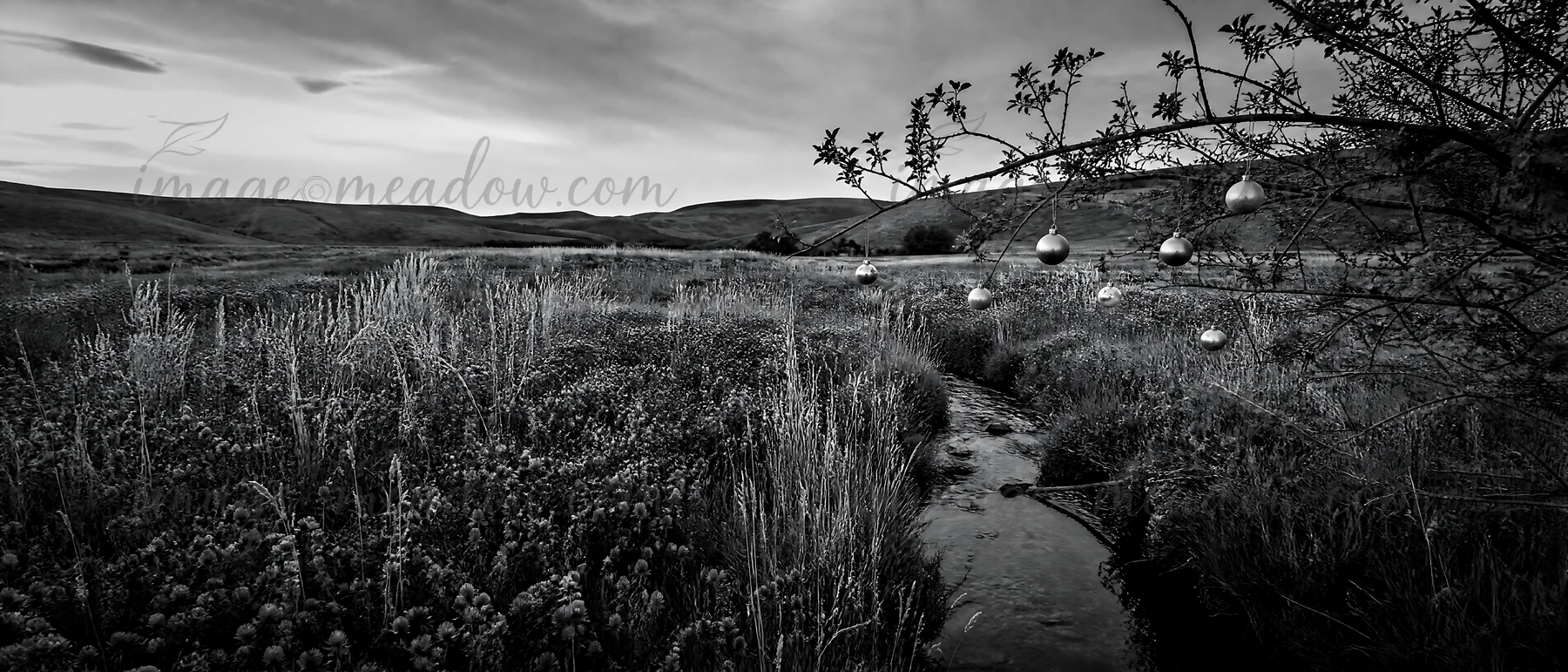 Decorative ornaments are suspended from branches along a stream flowing through a meadow. The setting is in a natural area with fields and hills in the backgrou