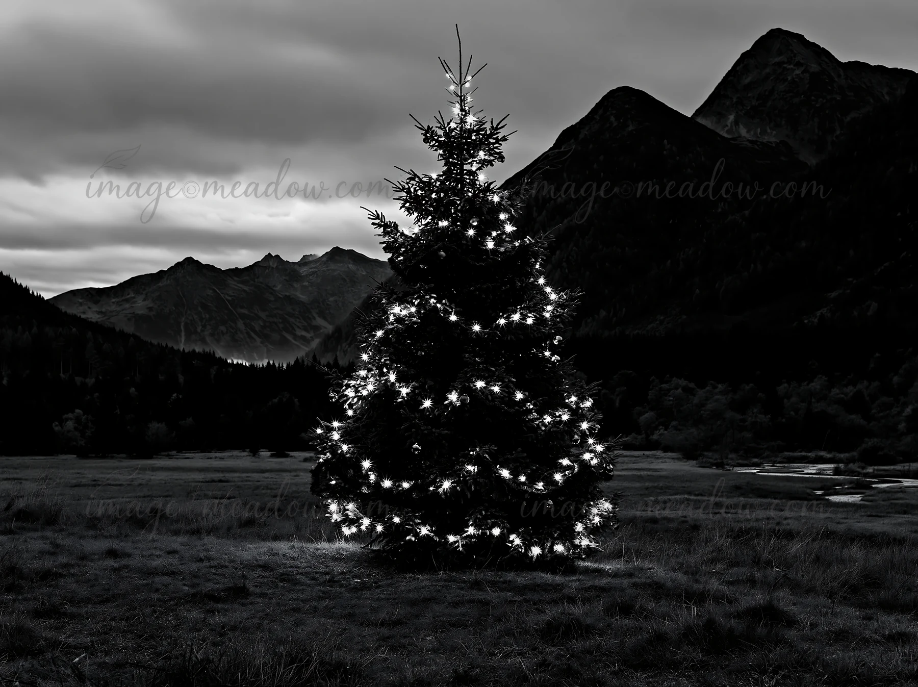 A Christmas tree stands in a deep mountain valley meadow, lit with lights. Surrounding mountains loom in the background under a cloudy sky. This setting capture