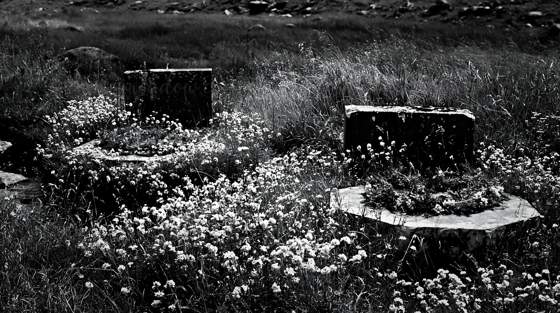 Wreaths are placed next to a stream in a meadow filled with flowers. The scene captures the natural surroundings with greenery and floral elements, together cre