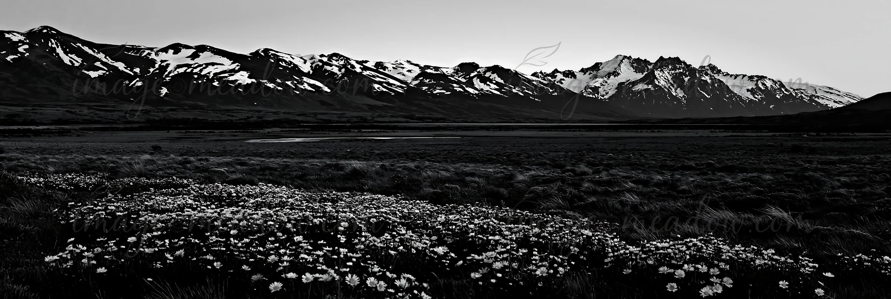 Snow-covered mountains rise in the background while a meadow filled with flowers is in the foreground. This scene captures the balance between nature and climat