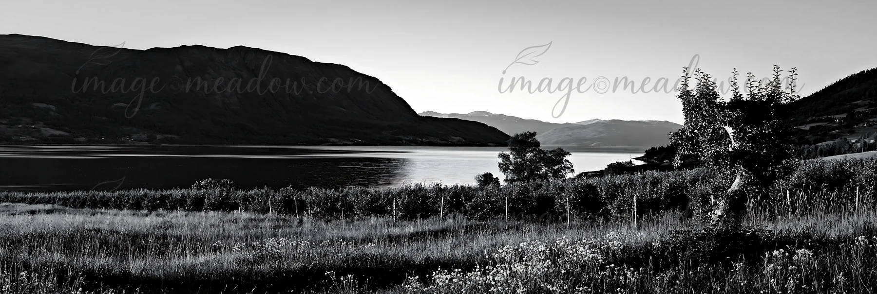 The setting features an orchard beside a calm fjord, with mountains in the background reflecting the warm light. Tall grass and wildflowers add color to the mea