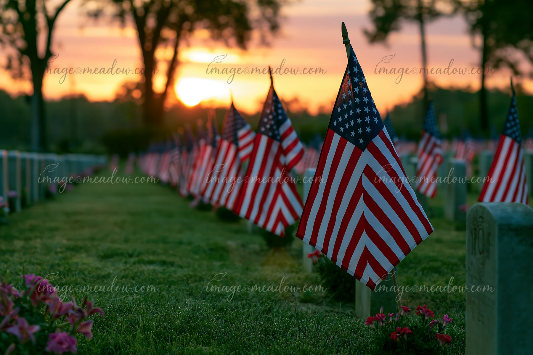 Flags mark graves in a military cemetery as the sun rises, casting light on the landscape.