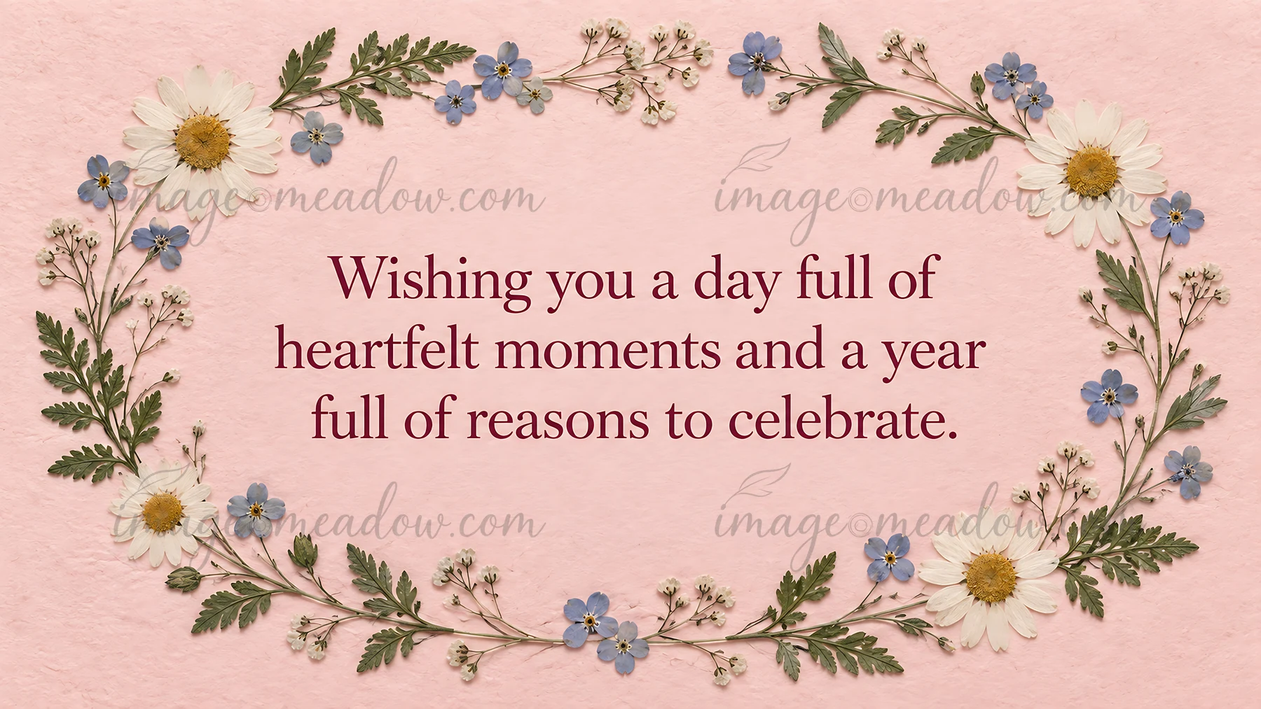 A birthday greeting with a heartfelt celebratory message in burgundy serif lettering, framed by white daisies, small blue flowers and green sprigs on a textured
