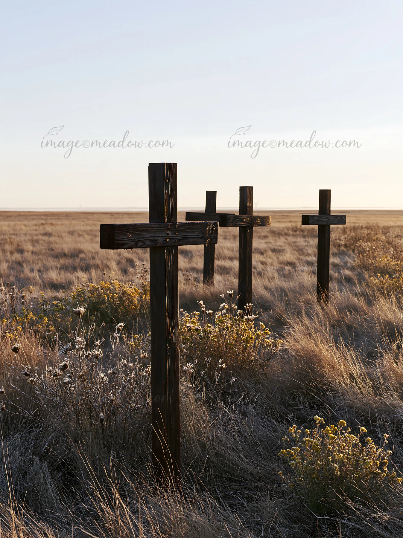 Four wooden crosses stand in a meadow with dry grass and bushes. The scene captures the natural environment during the Christmas season. The sun is low on the h