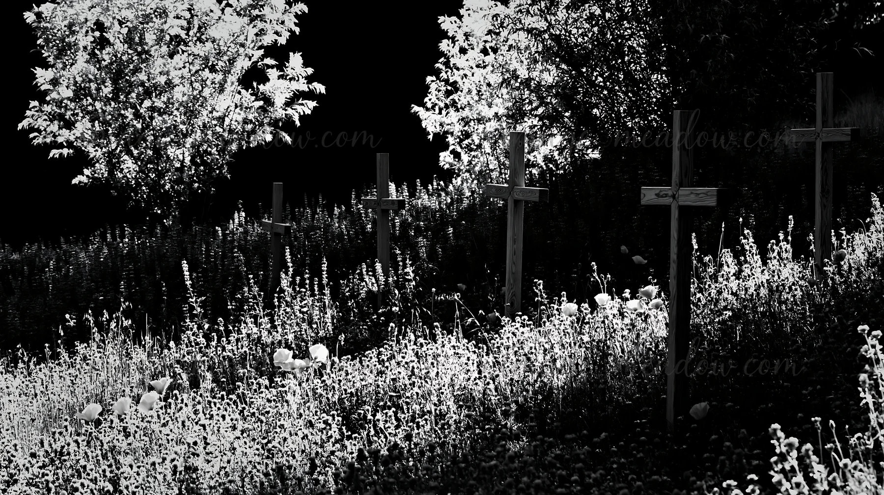 Four wooden crosses stand in a meadow during Christmas. The foreground shows flowers and plants surrounding the crosses. Trees provide backdrop with light filte