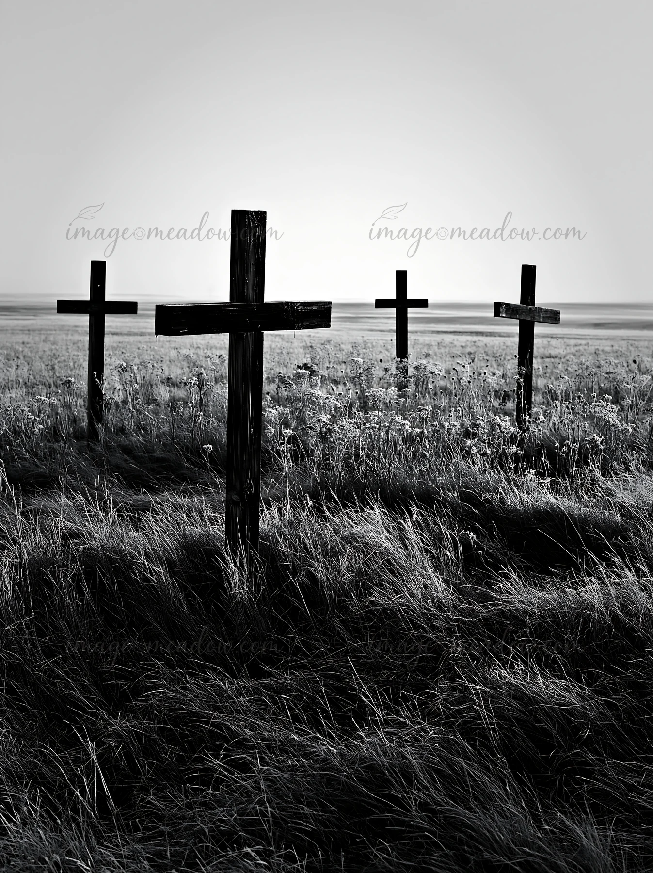 Four wooden crosses stand in a meadow filled with tall grass. The scene captures the essence of Christmas with a simple, solemn atmosphere. The location is sere