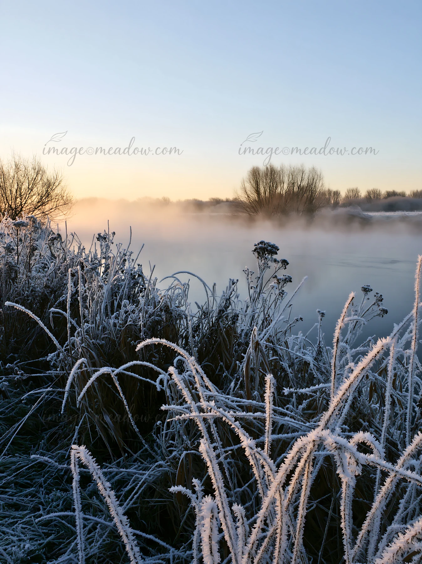 Frost covers tall grass and wild plants along a river bank during early morning. A soft mist flows over the water as the sun rises in the background, casting li