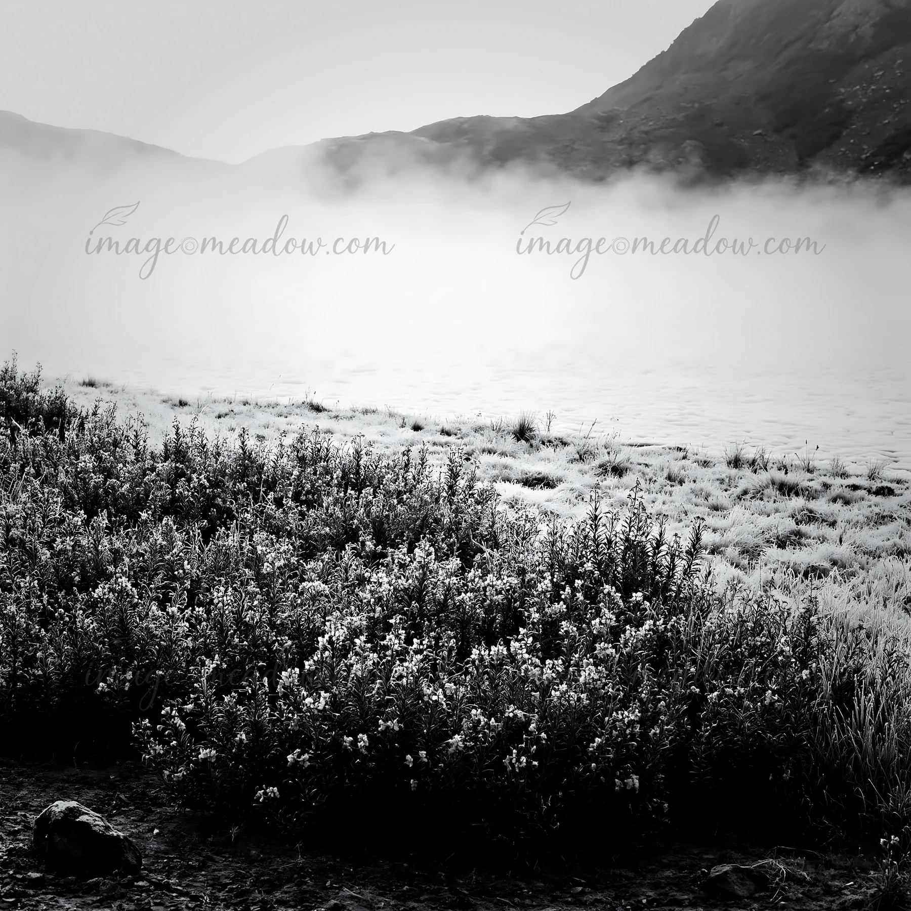 A frozen tarn is visible surrounded by lush meadows. The fog covers parts of the water, and the backdrop features rugged mountains. The scene captures a winter