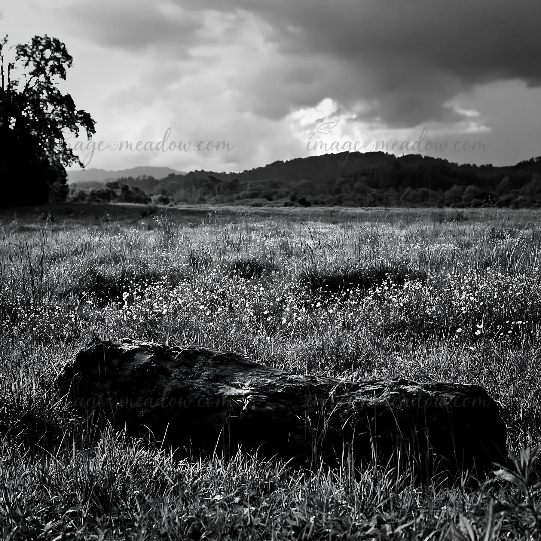A low-carbon meadow in Gifu features a mossy log resting on green grass. Dark clouds loom in the sky, suggesting a change in weather. This scene captures the na
