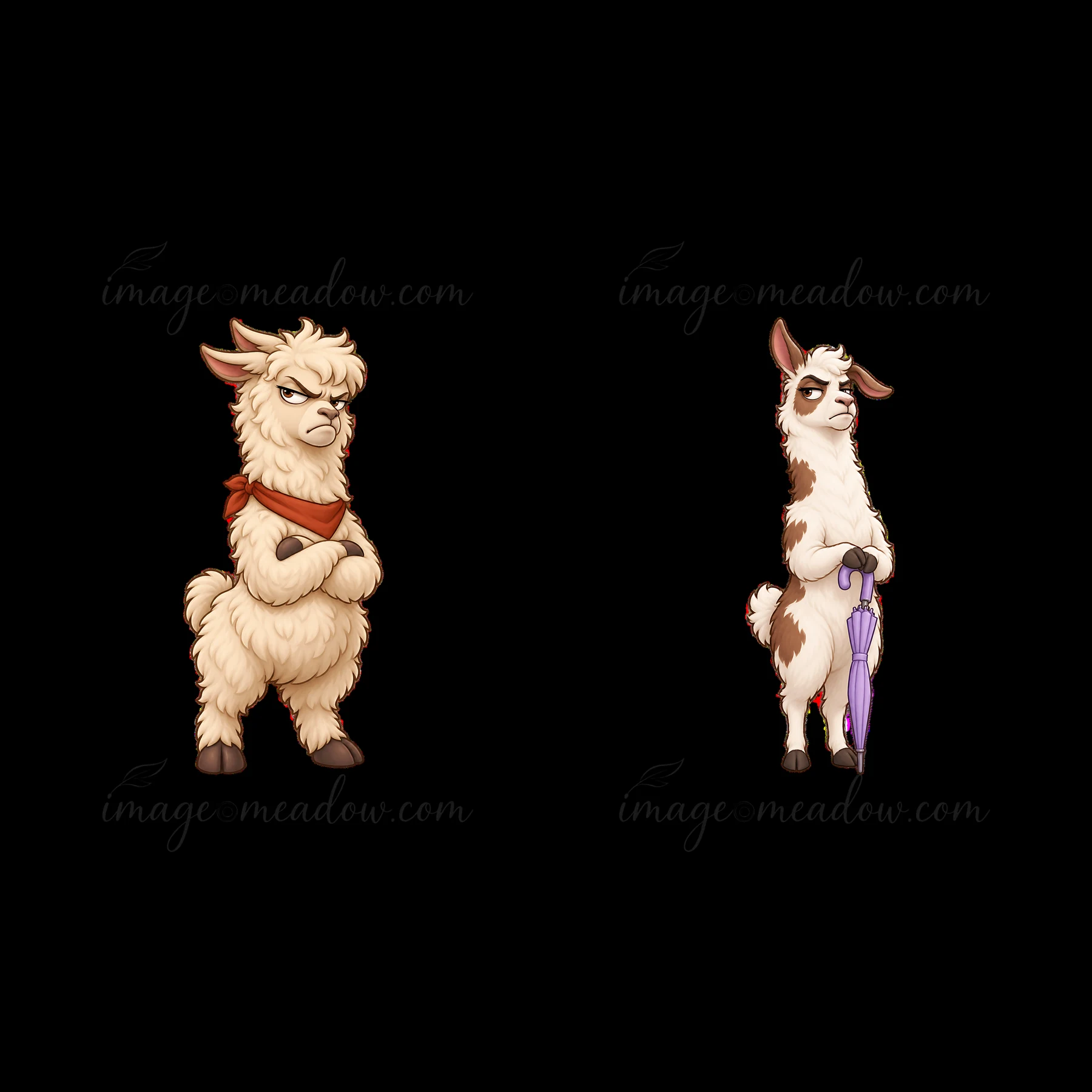 Two grumpy llamas stand side by side. The llama on the left has a red scarf and arms crossed. The llama on the right holds a purple umbrella and shows an annoye