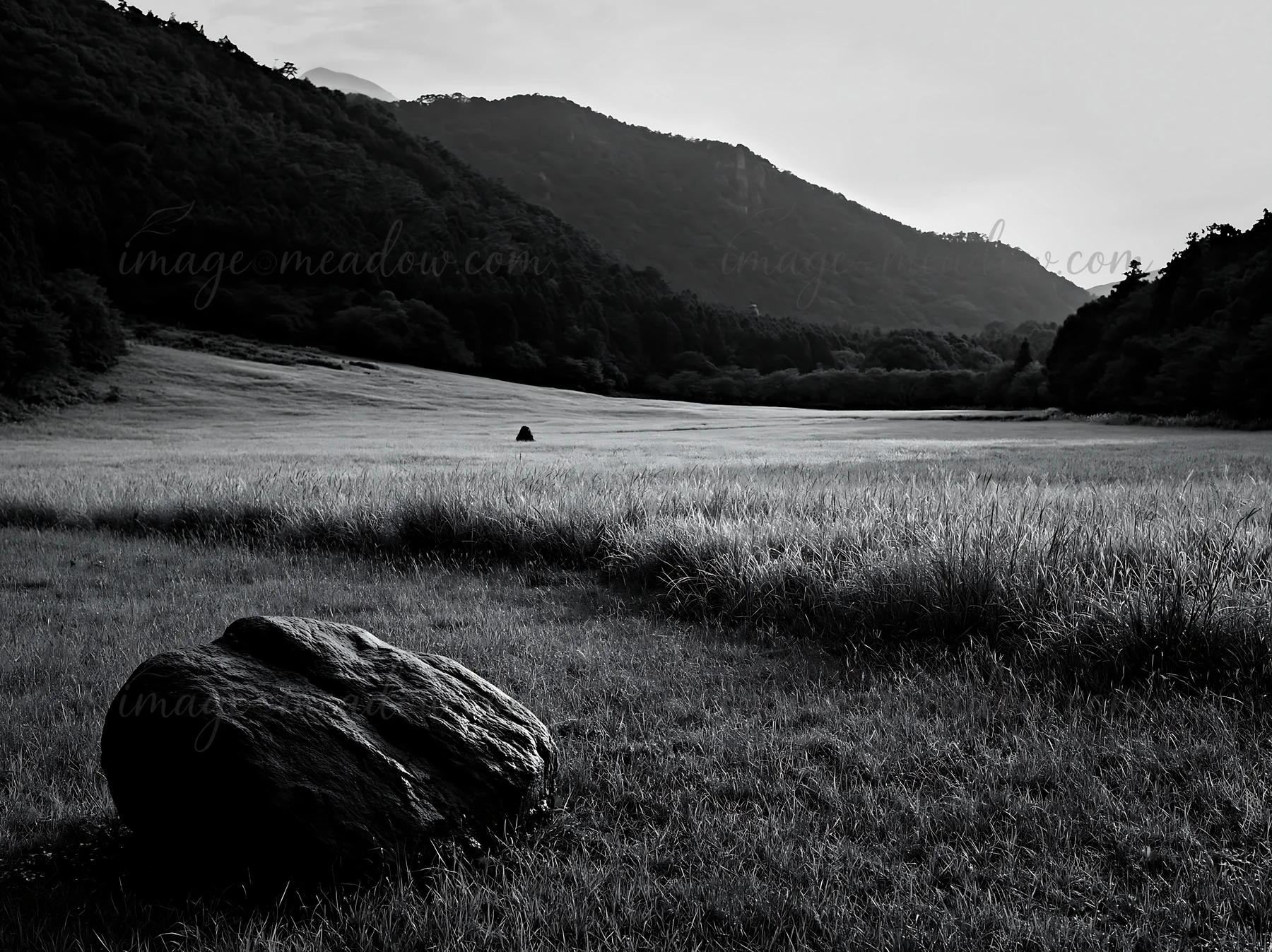 A smooth rock sits in the foreground of a rainy meadow in Hiroshima. The grassy area stretches towards distant mountains under cloudy skies. Rainfall adds a uni