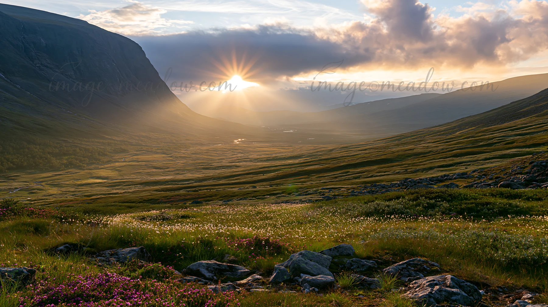 Sunbeams shine over Jotunheimen valley, illuminating the meadow and surrounding mountains during sunset. Flowers dot the landscape, highlighting nature's beauty