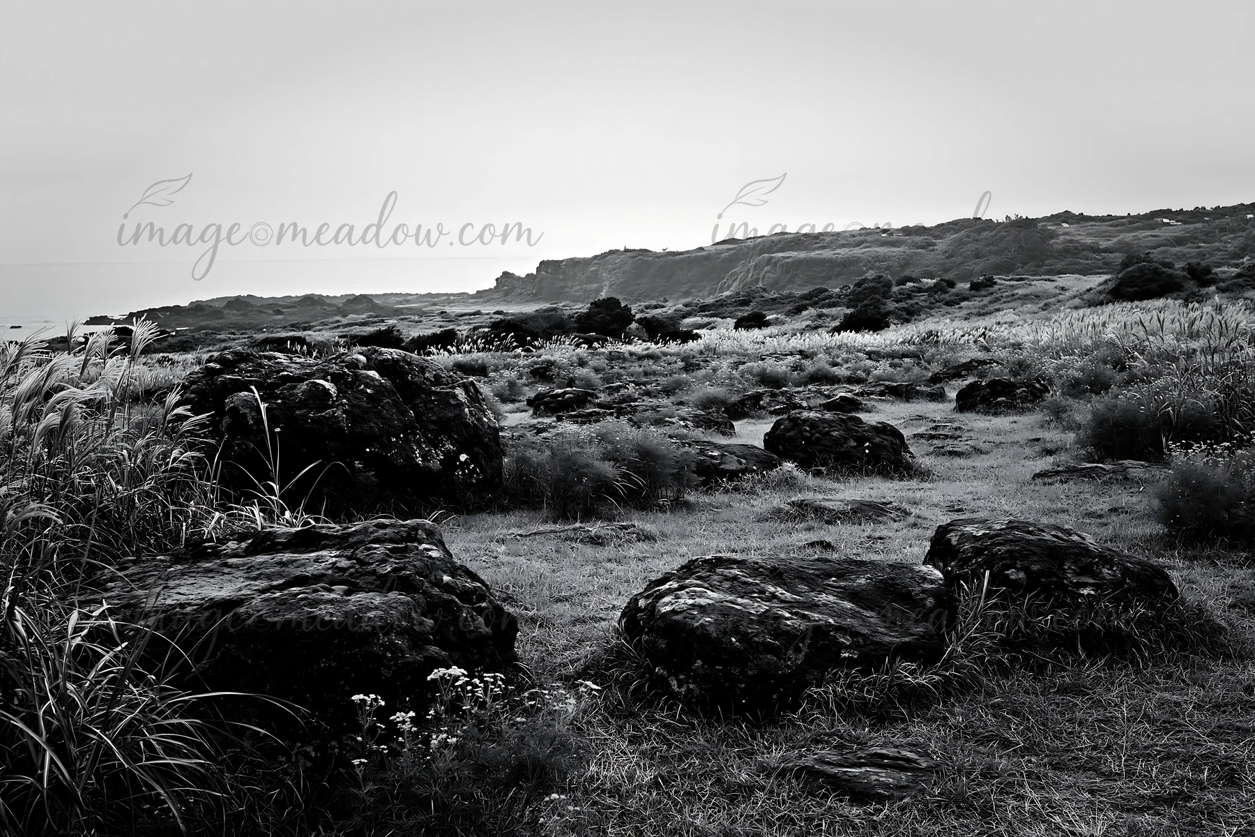 Volcanic stones are scattered across a meadow in Kanagawa, with gentle hills and greenery in the background. The scene captures the natural landscape under a cl