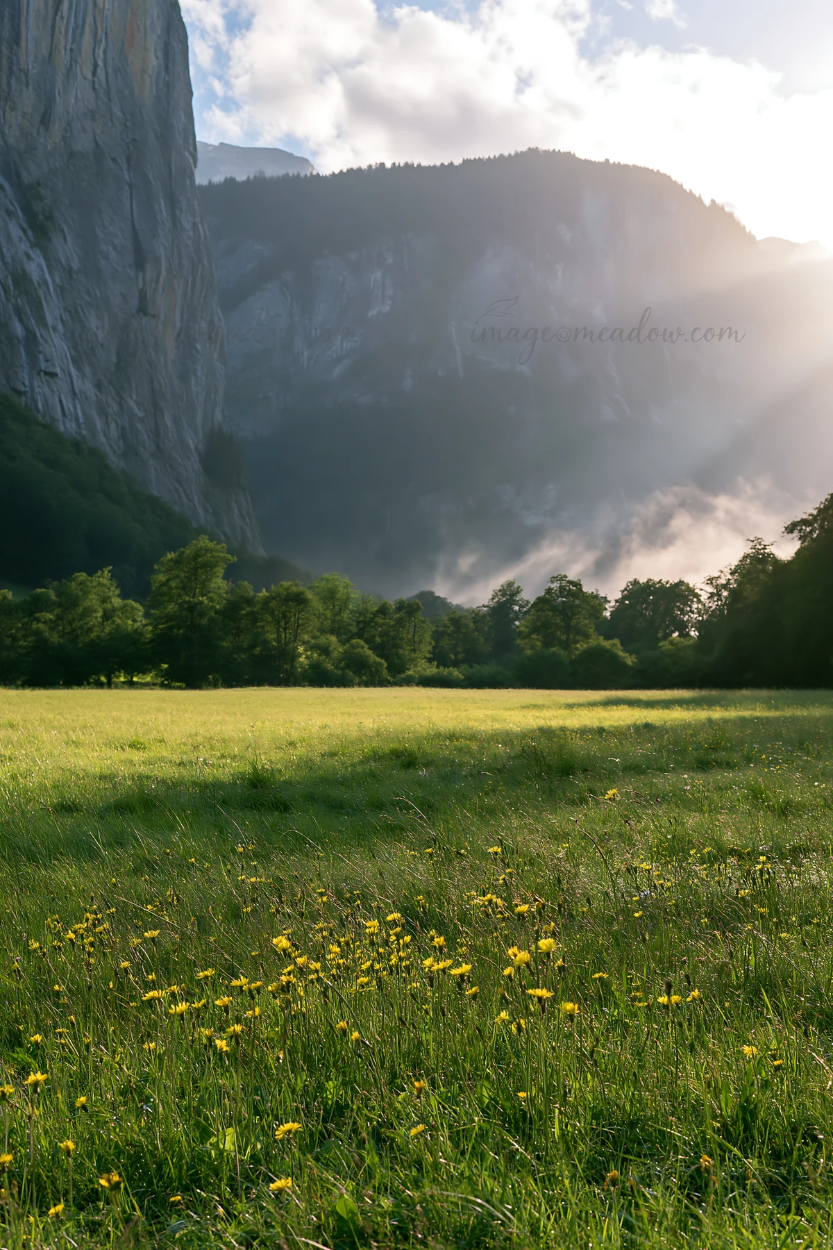 In Lauterbrunnen Valley, light rays shine through clouds above a meadow filled with flowers. The scene captures the towering cliffs and lush greenery during day