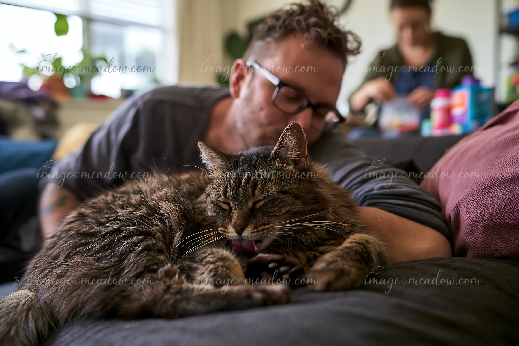 Man wearing glasses kisses a tabby cat resting on a sofa in a warmly lit living room.