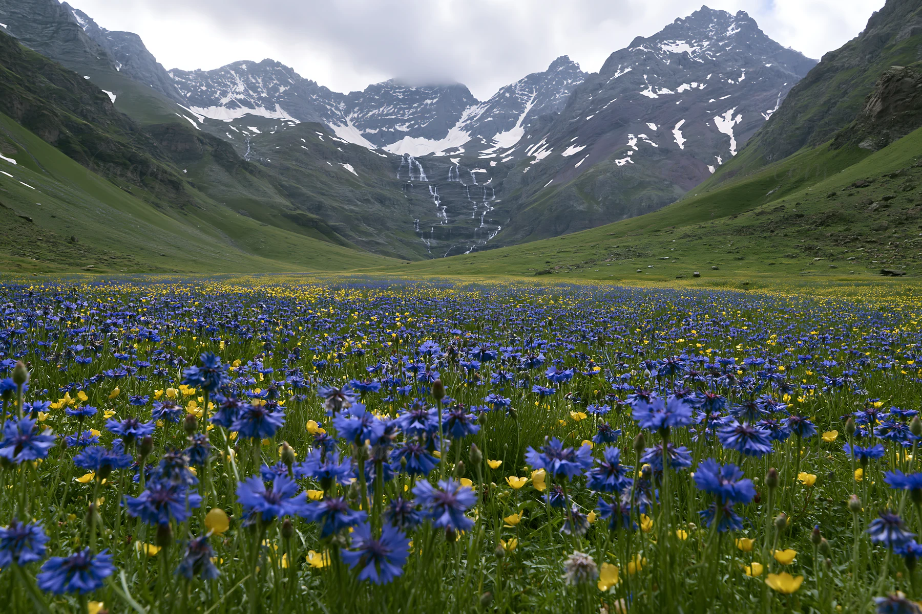 A meadow filled with blue and yellow flowers is situated below a waterfall in a mountain valley. The landscape features steep green hills and snow-capped peaks