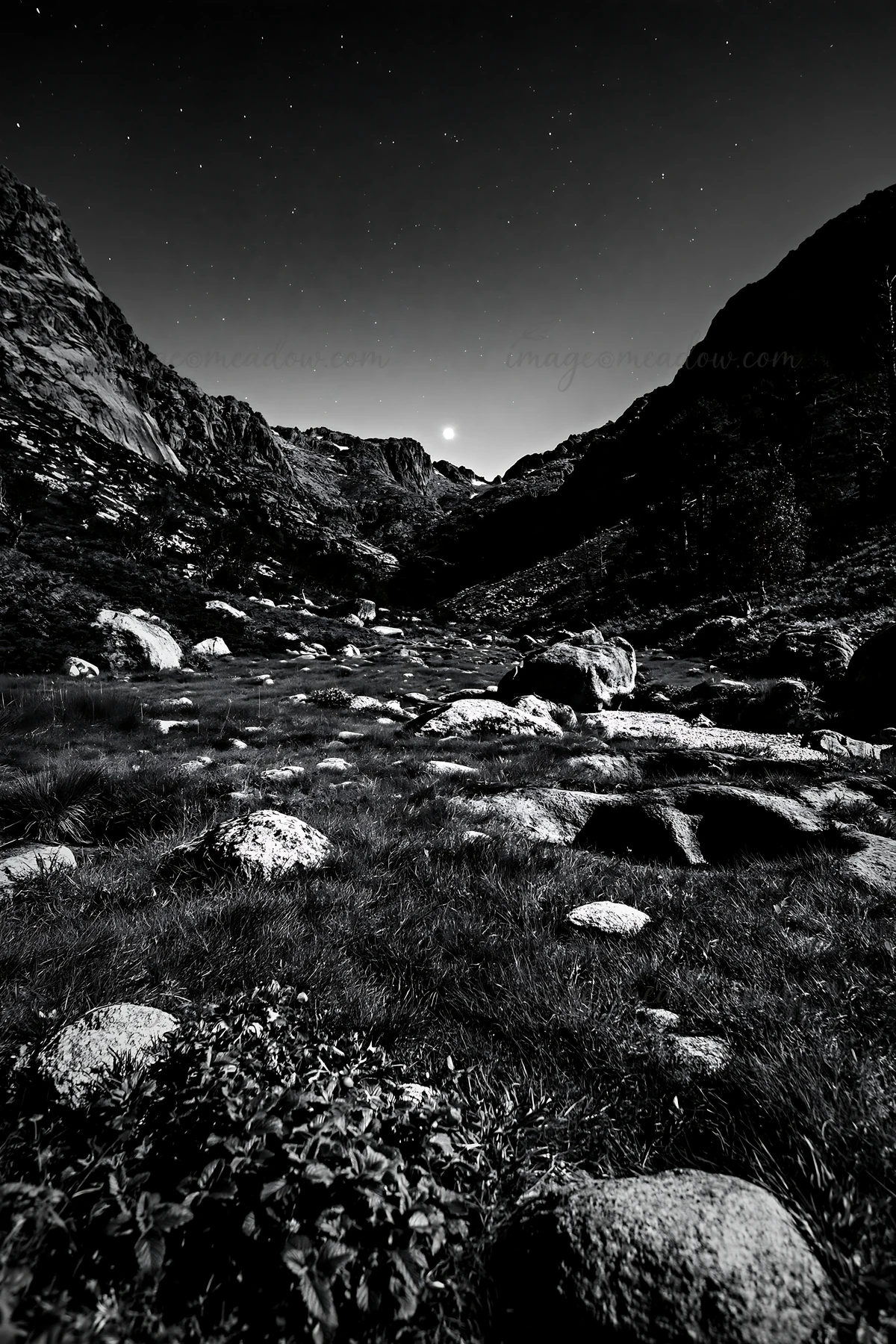 A meadow with rocks and grass is illuminated by moonlight. Mountains surround the area and a few stars are visible in the night sky. This scene captures the nat