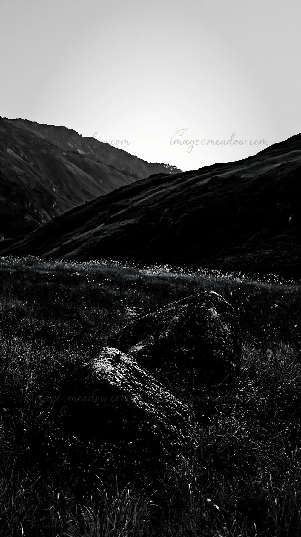 A granite boulder rests in a meadow in Nagano. The surrounding grass is green, and hills rise in the background during twilight hours. Presented as a premium hi