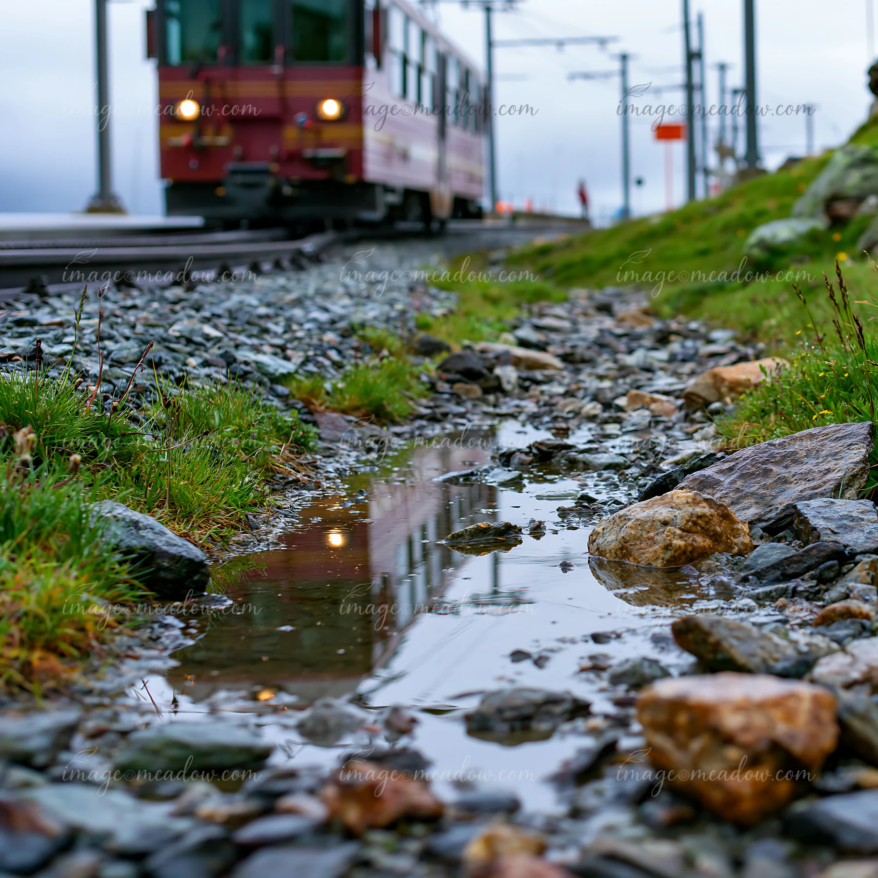 Red train approaching on coastal tracks beside wet rocks, grass, and puddles under an overcast sky.