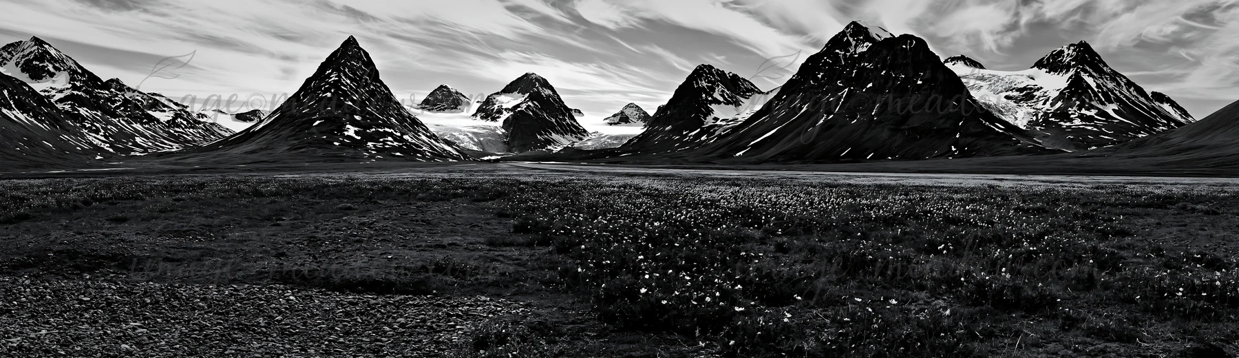 A view of a regenerative meadow bordered by mountains. Snow caps the peaks under a cloudy sky. The scene highlights the natural elements in a remote area, showc