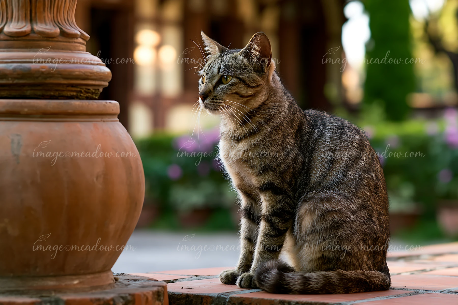 Seated tabby cat beside a large decorative planter in a leafy garden.