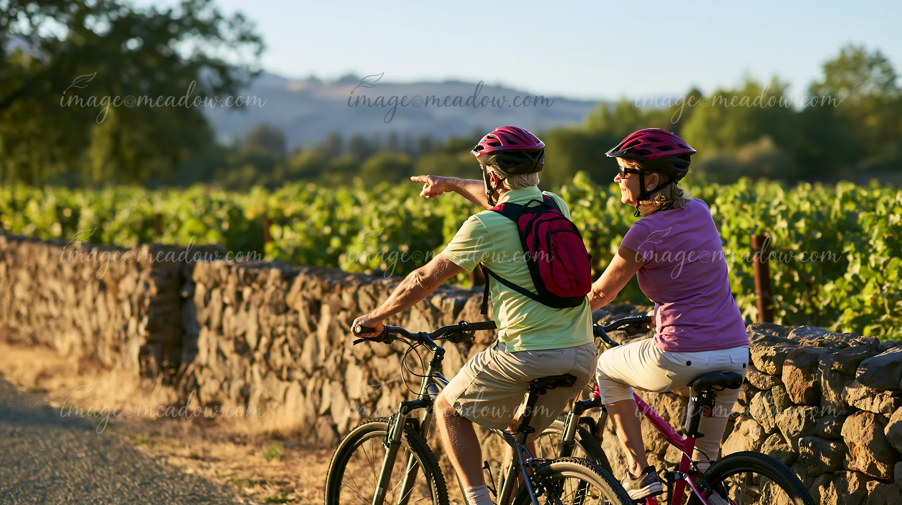 Senior couple rides bicycles beside sunlit vineyard rows and a stone wall, with hills in the background.